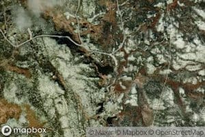Andetjorn