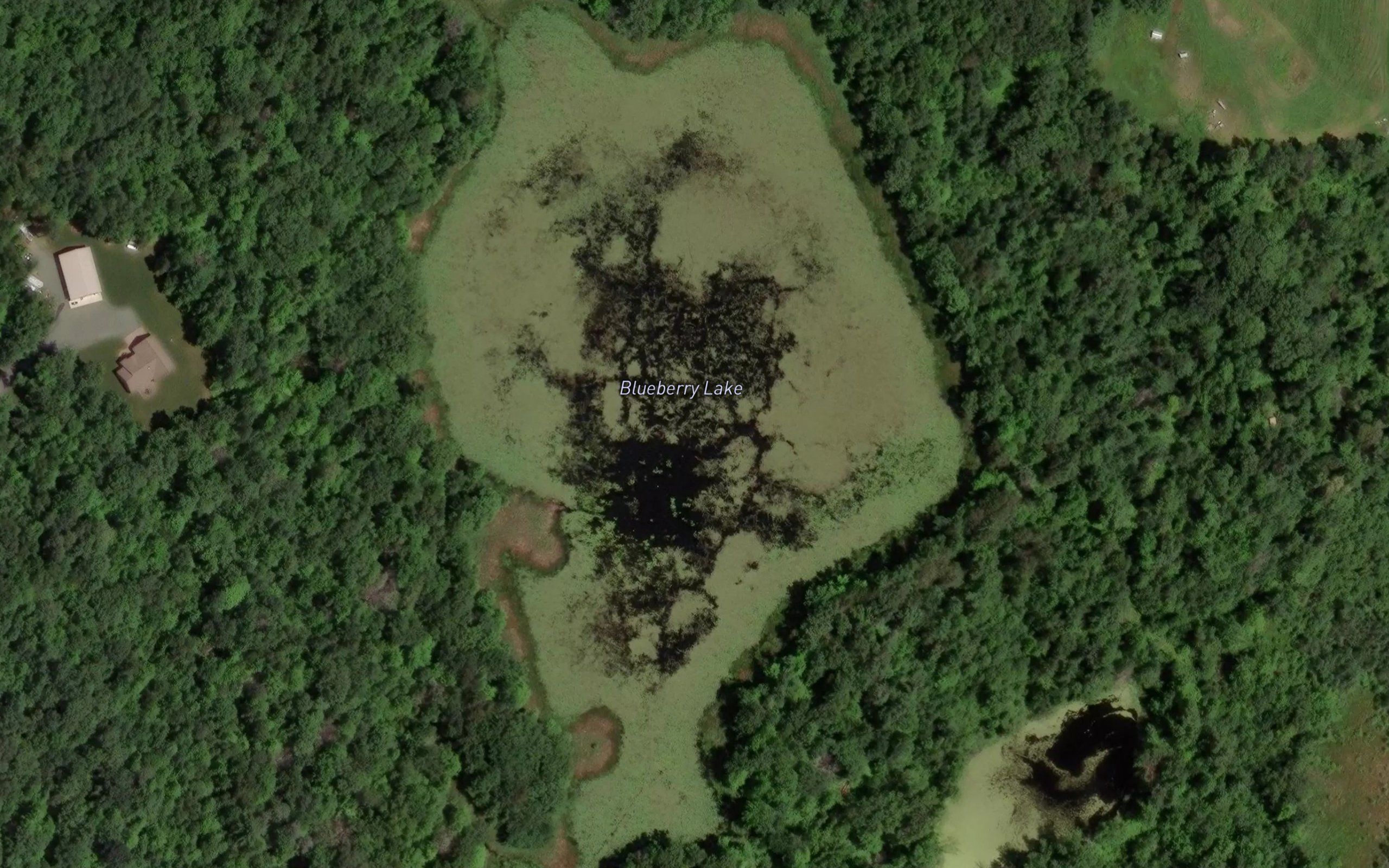 Blueberry Lake