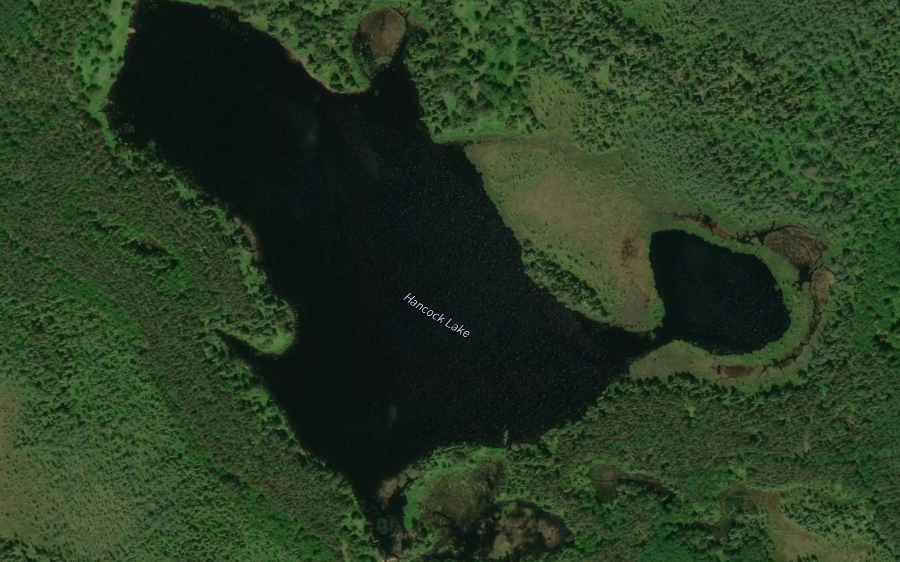 Satellite map of the Hancock Lake