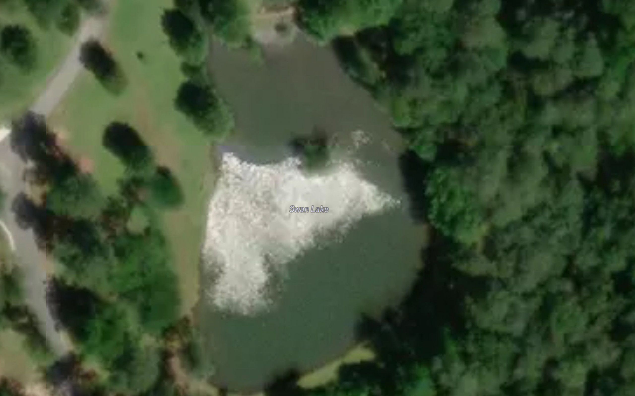 Swan Lake