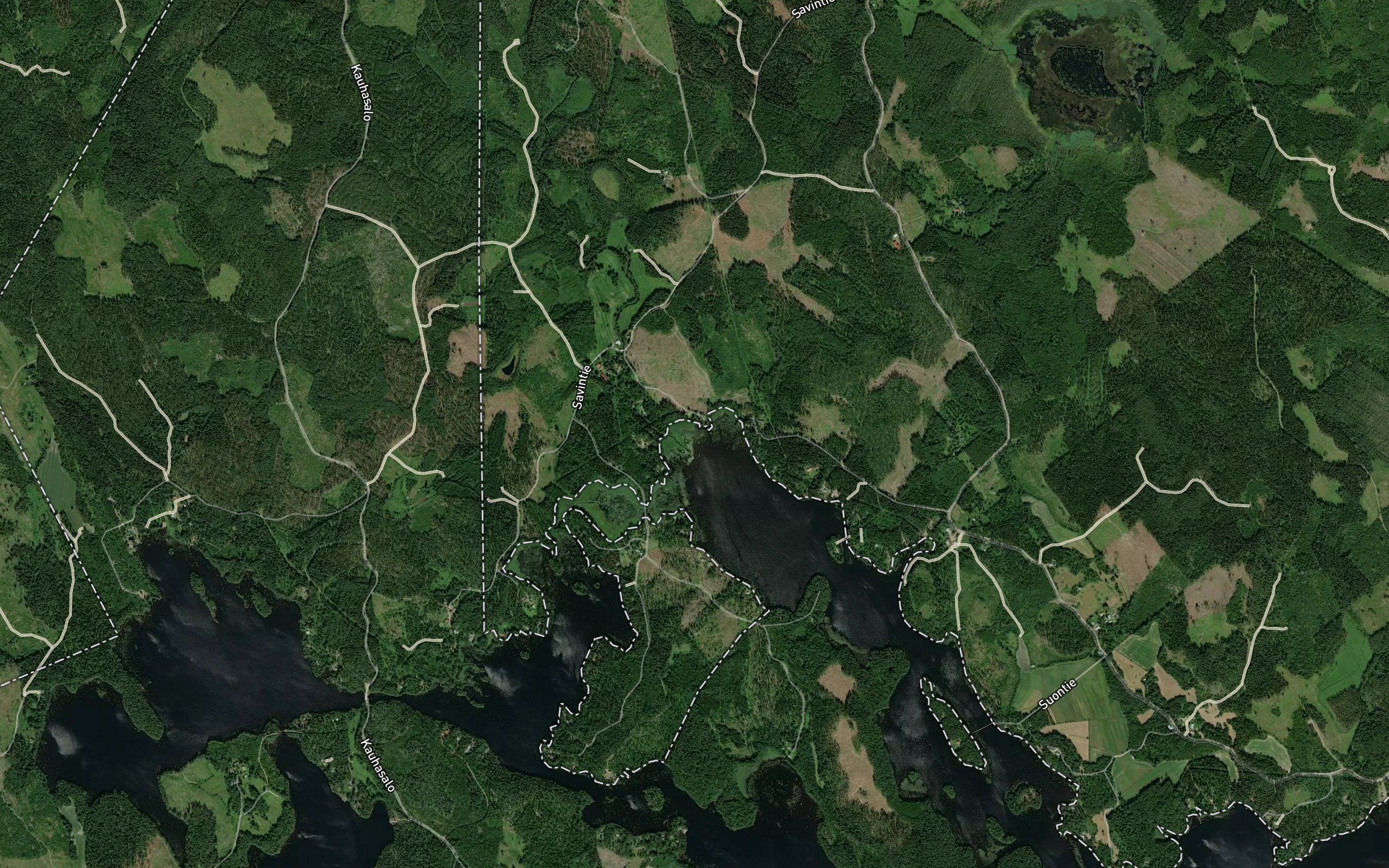 Savikodanlahti