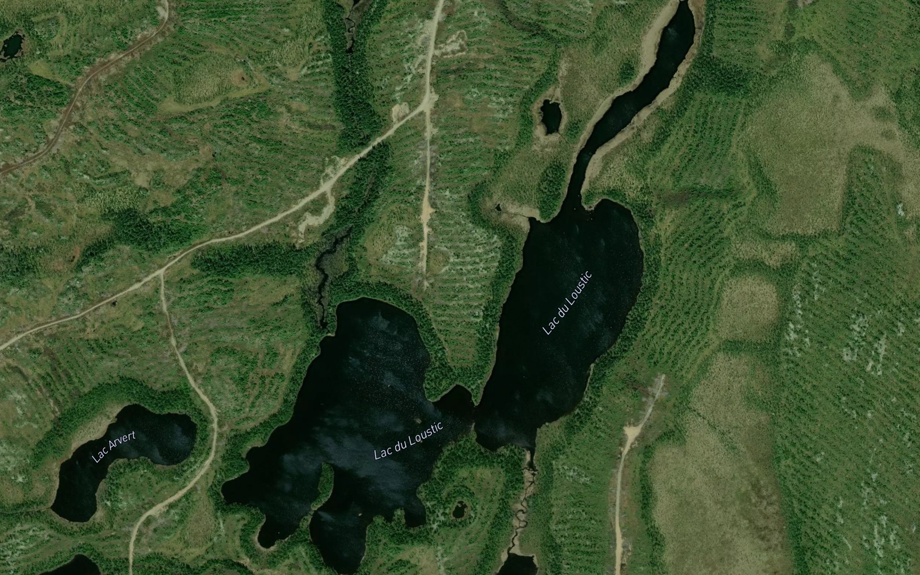 Satellite map of the Lac du Loustic