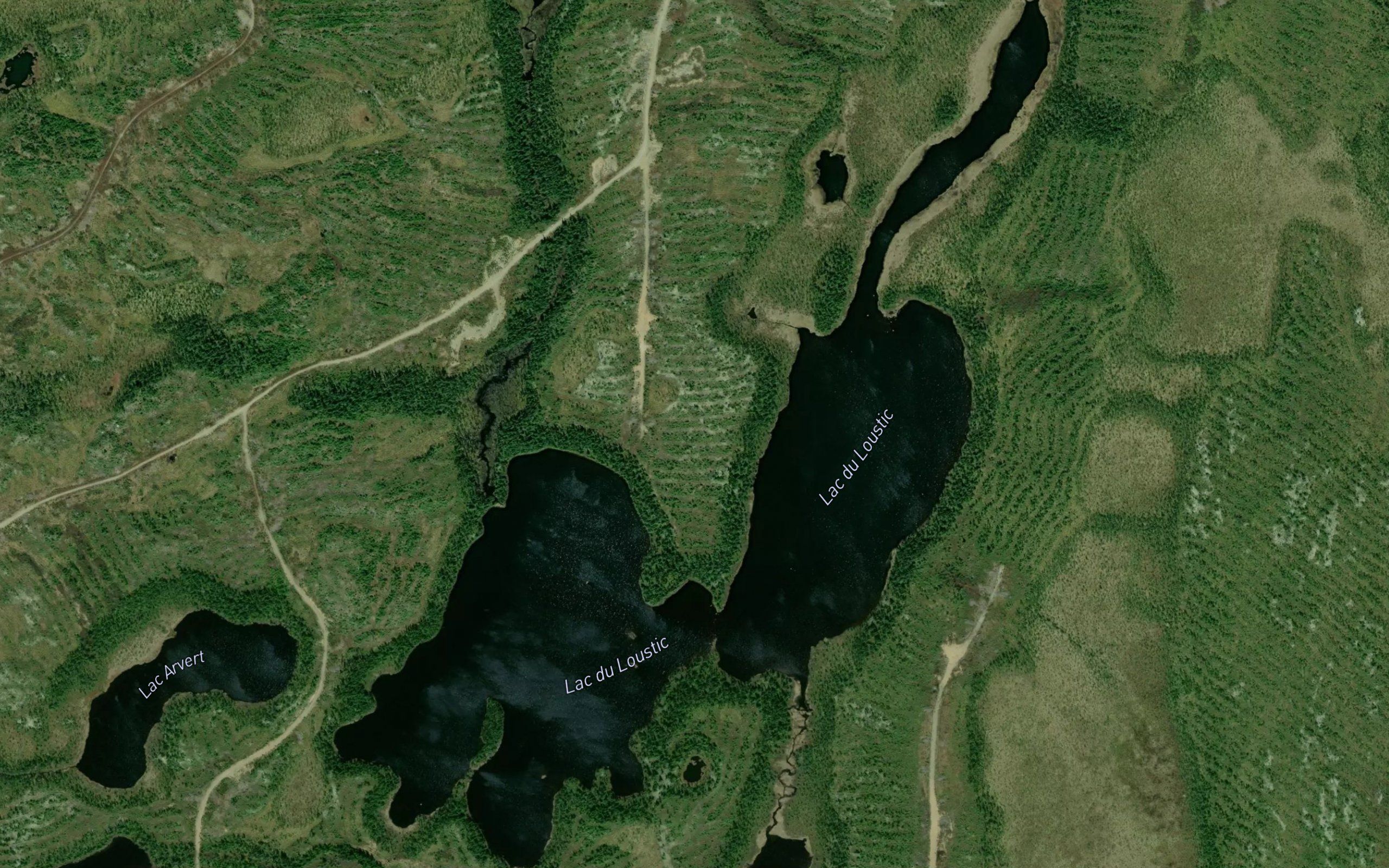 Lac du Loustic