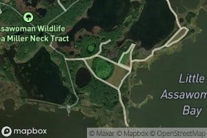 Tonys Pond