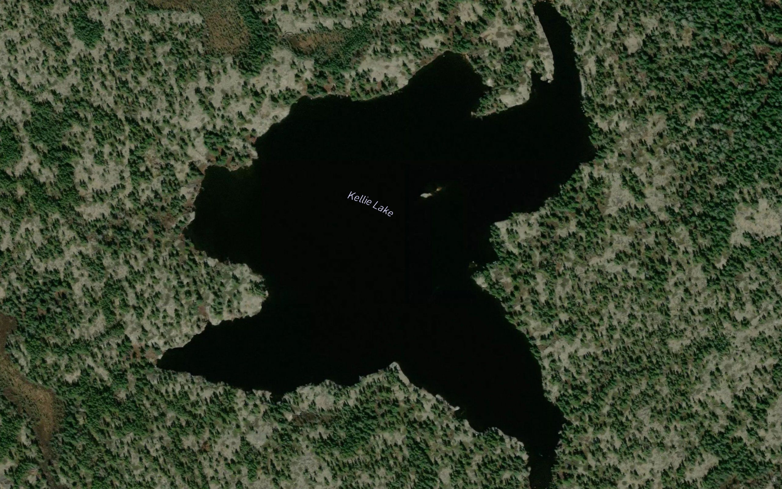 Kellie Lake