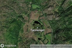 Tjornsengtjornin