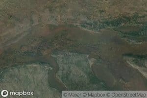Kamyshetskiy Alon