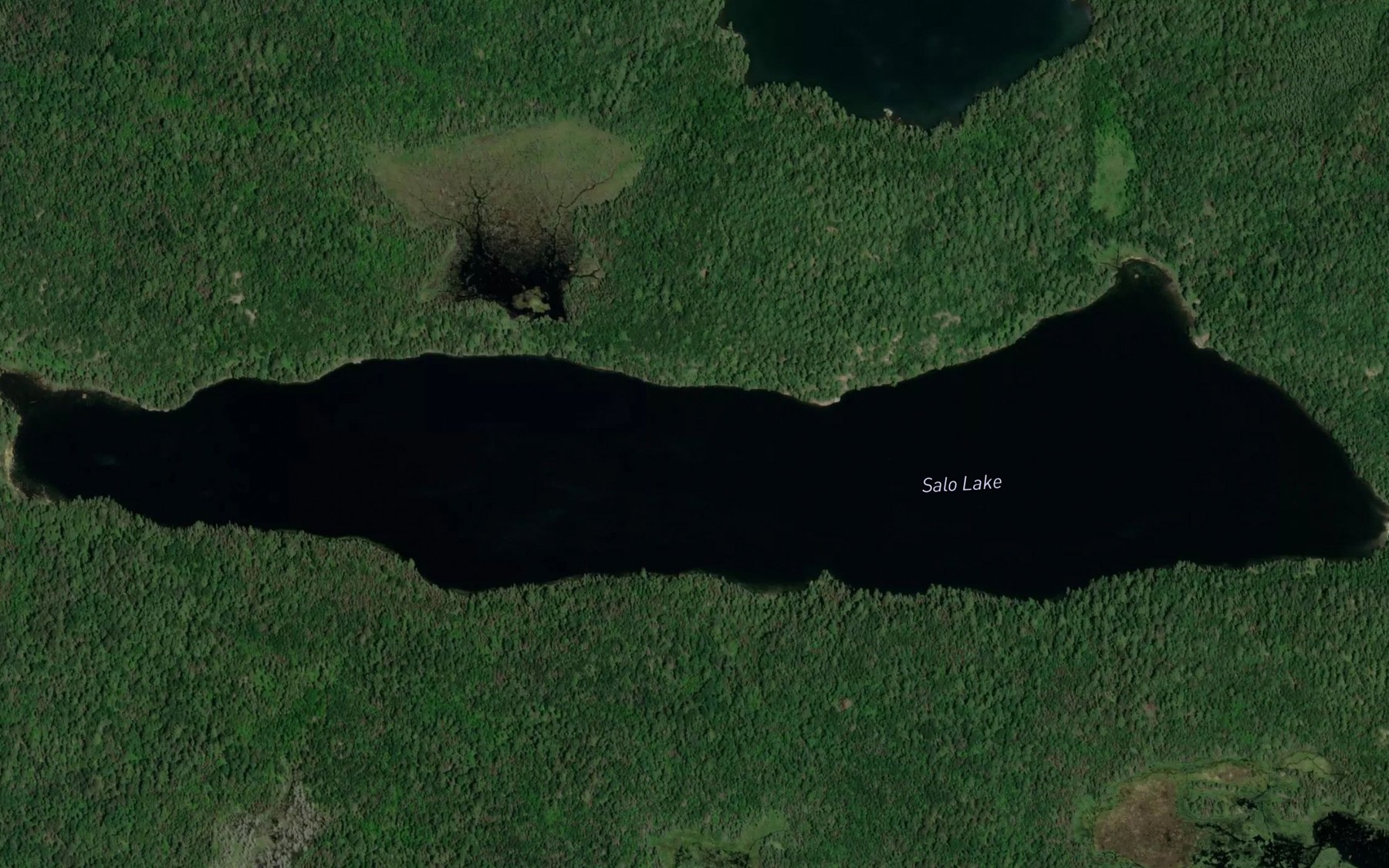 Satellite map of the Salo Lake