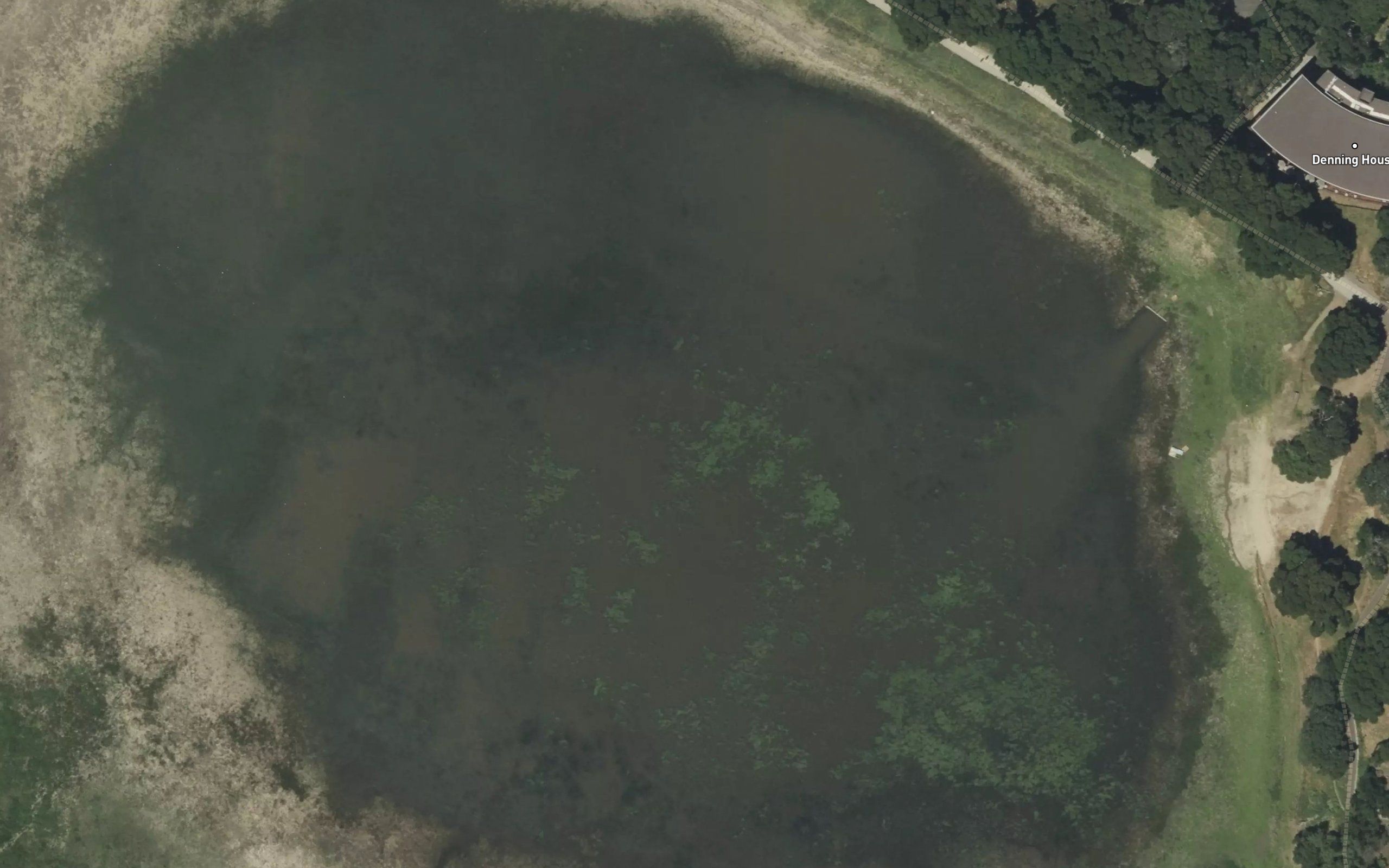 Lagunita