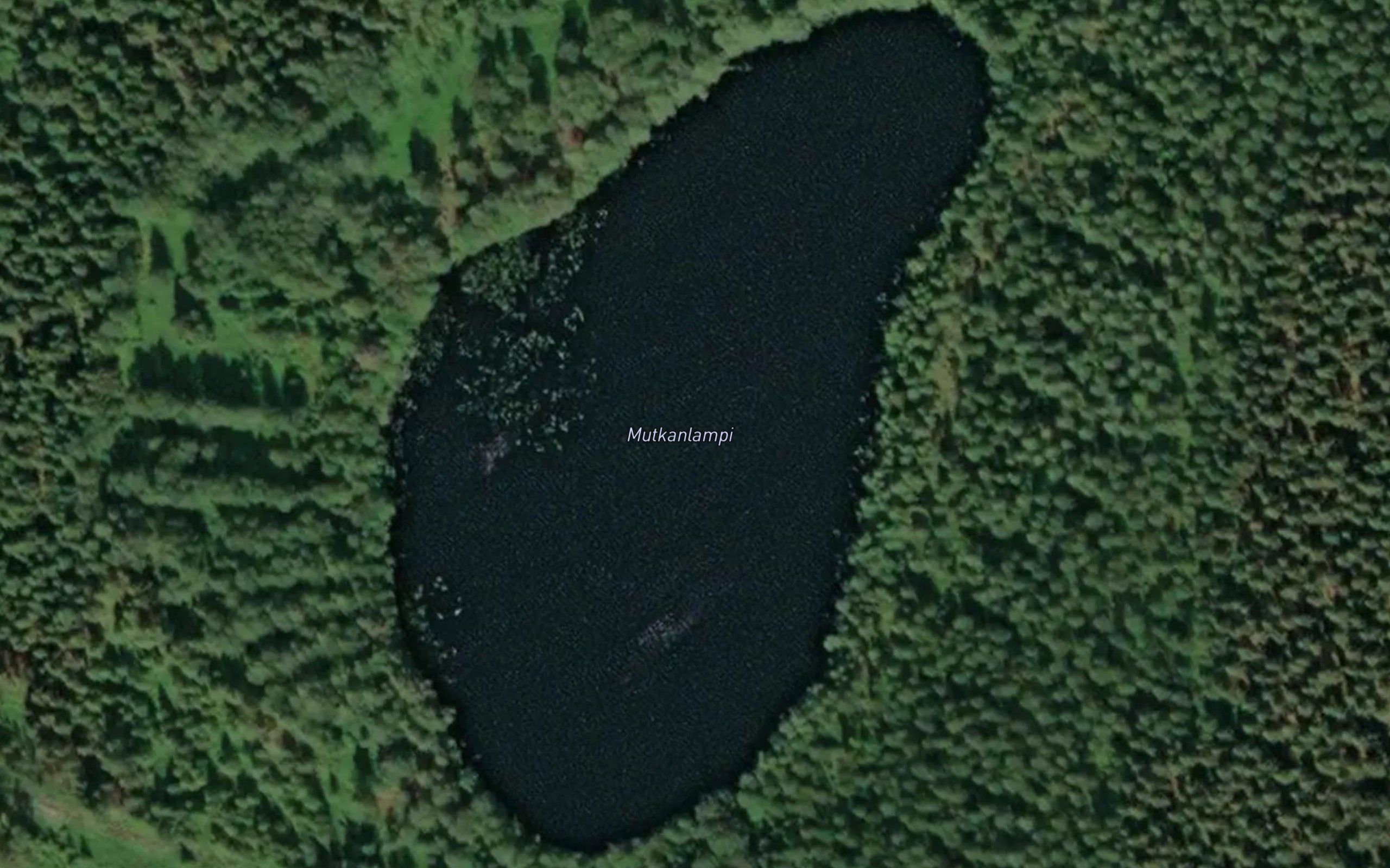 Mutkanlampi