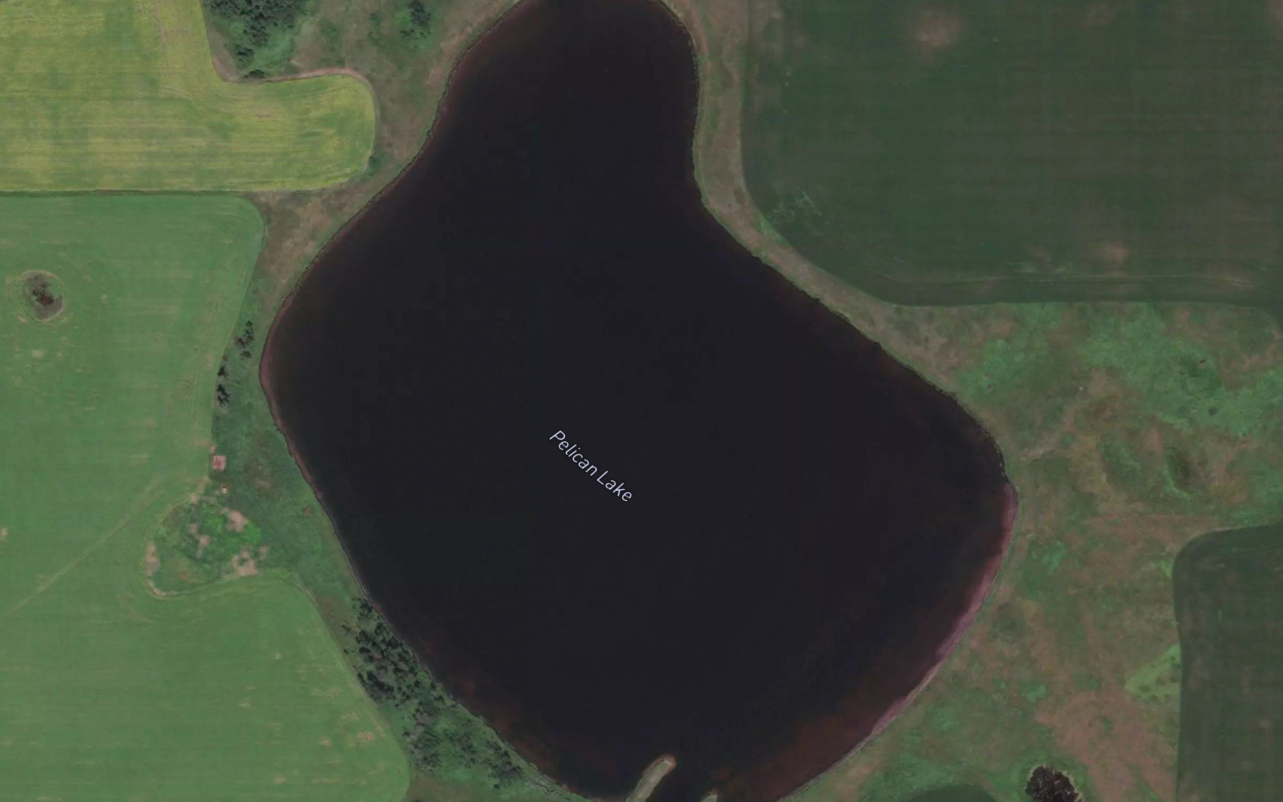 Pelican Lake
