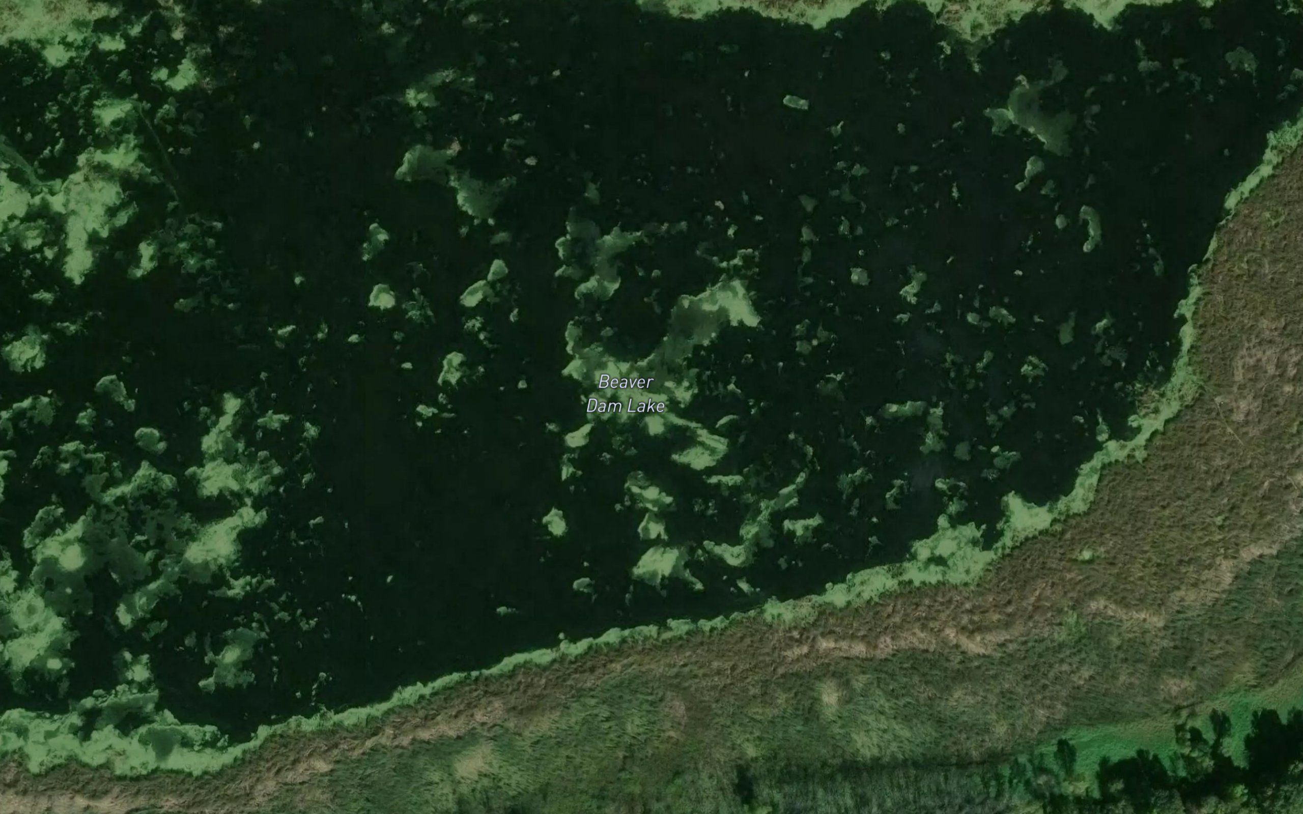 Beaver Dam Lake