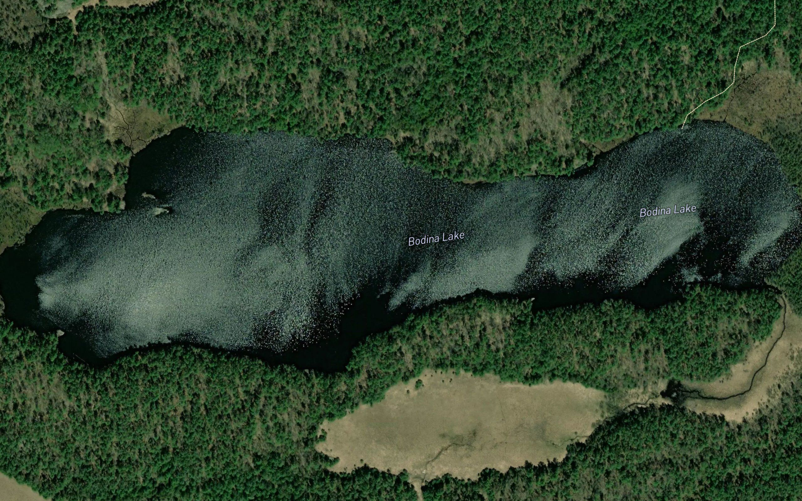 Bodina Lake