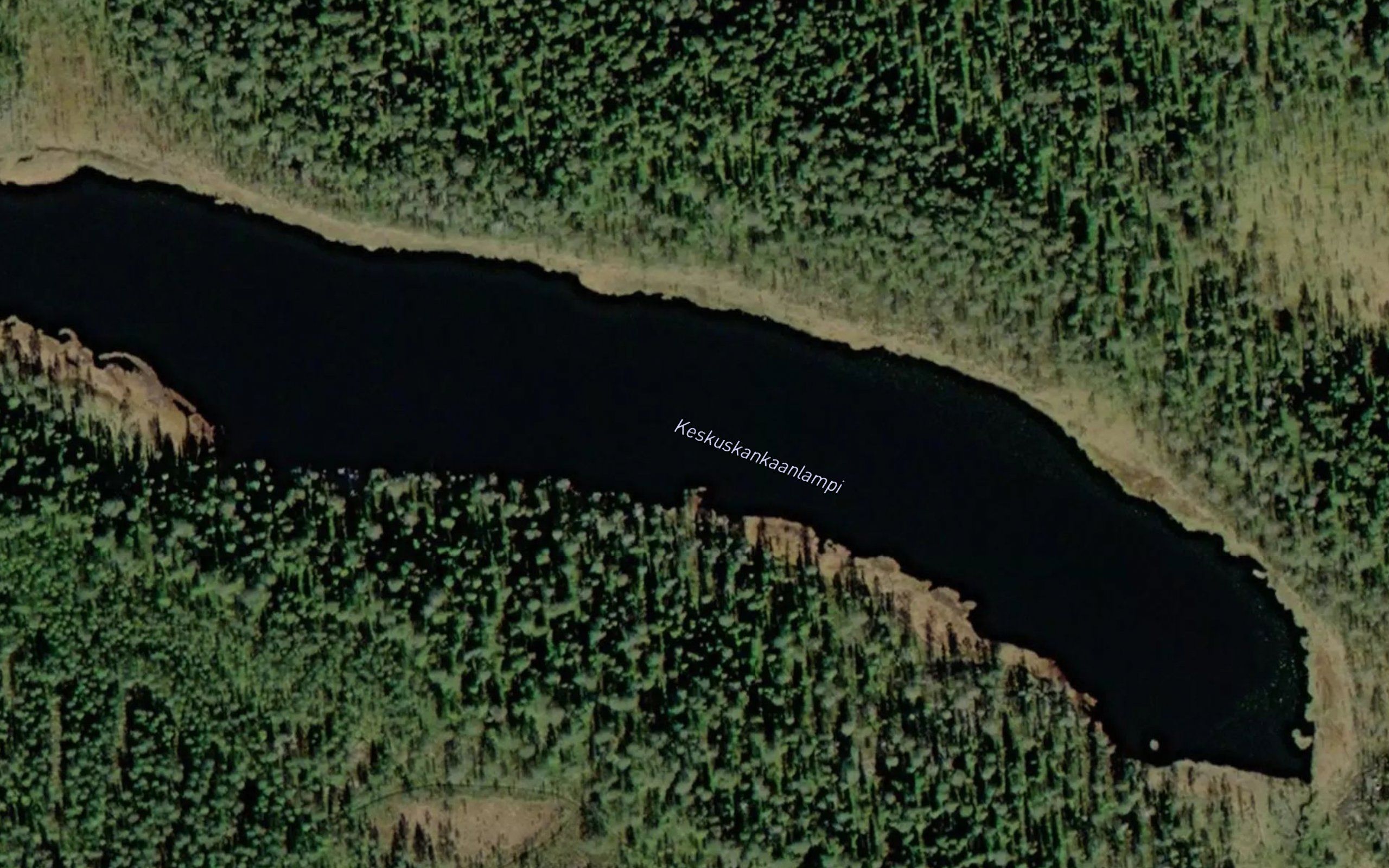 Keskuskankaanlampi