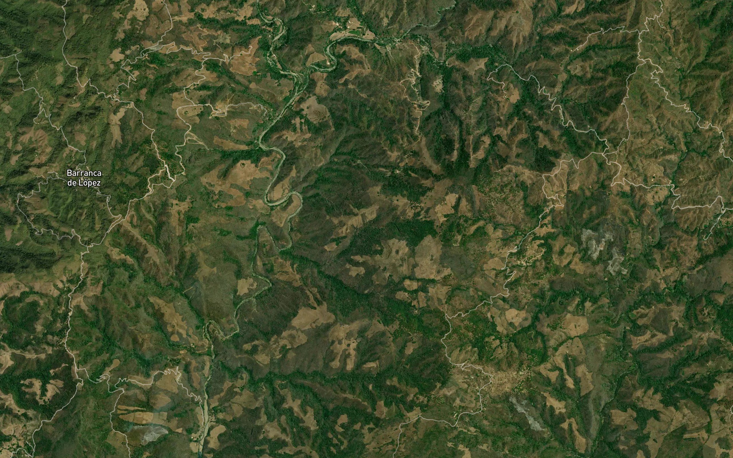 Paniaguas
