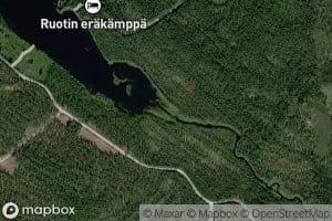 Koivujoki