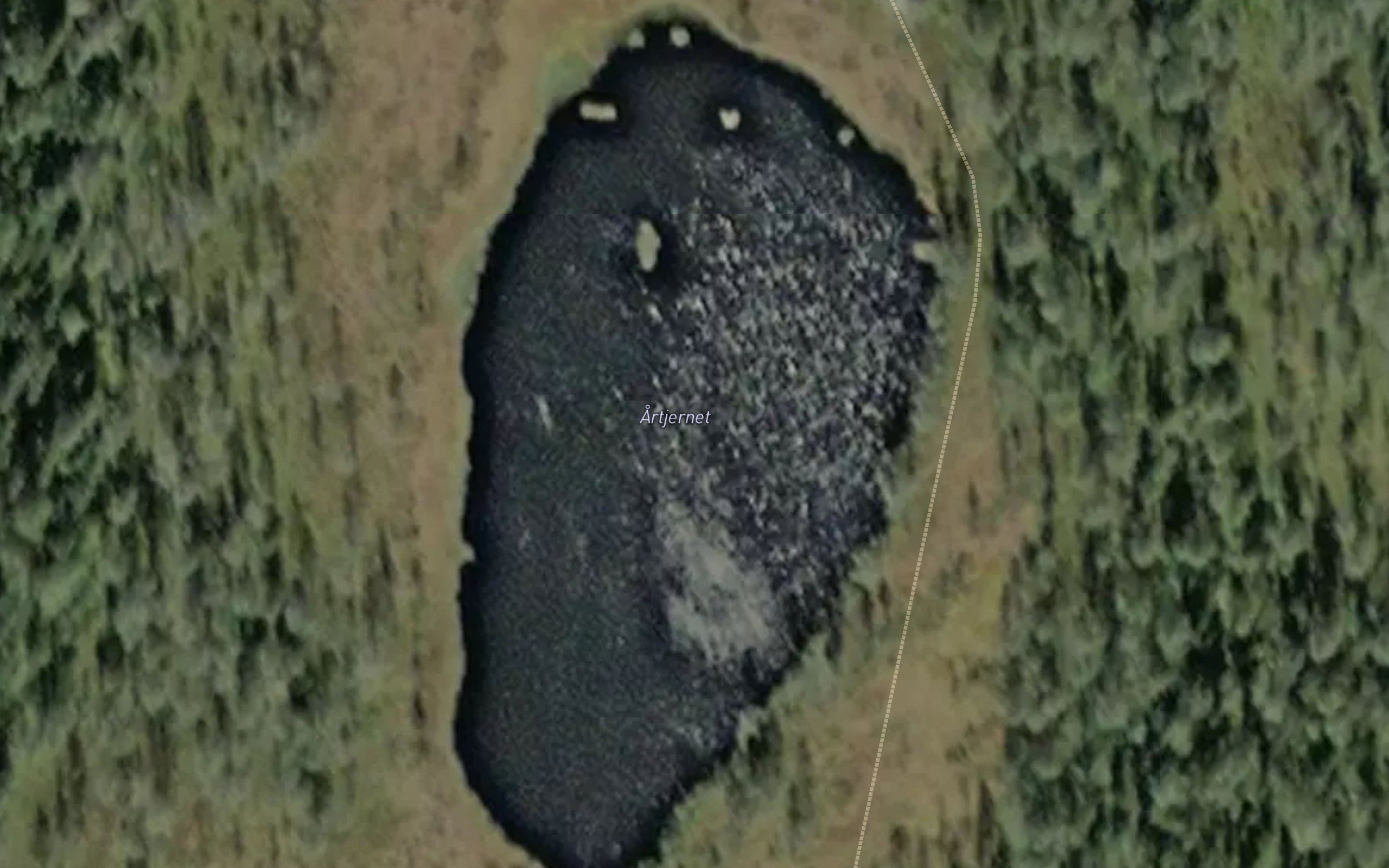 Artjernet