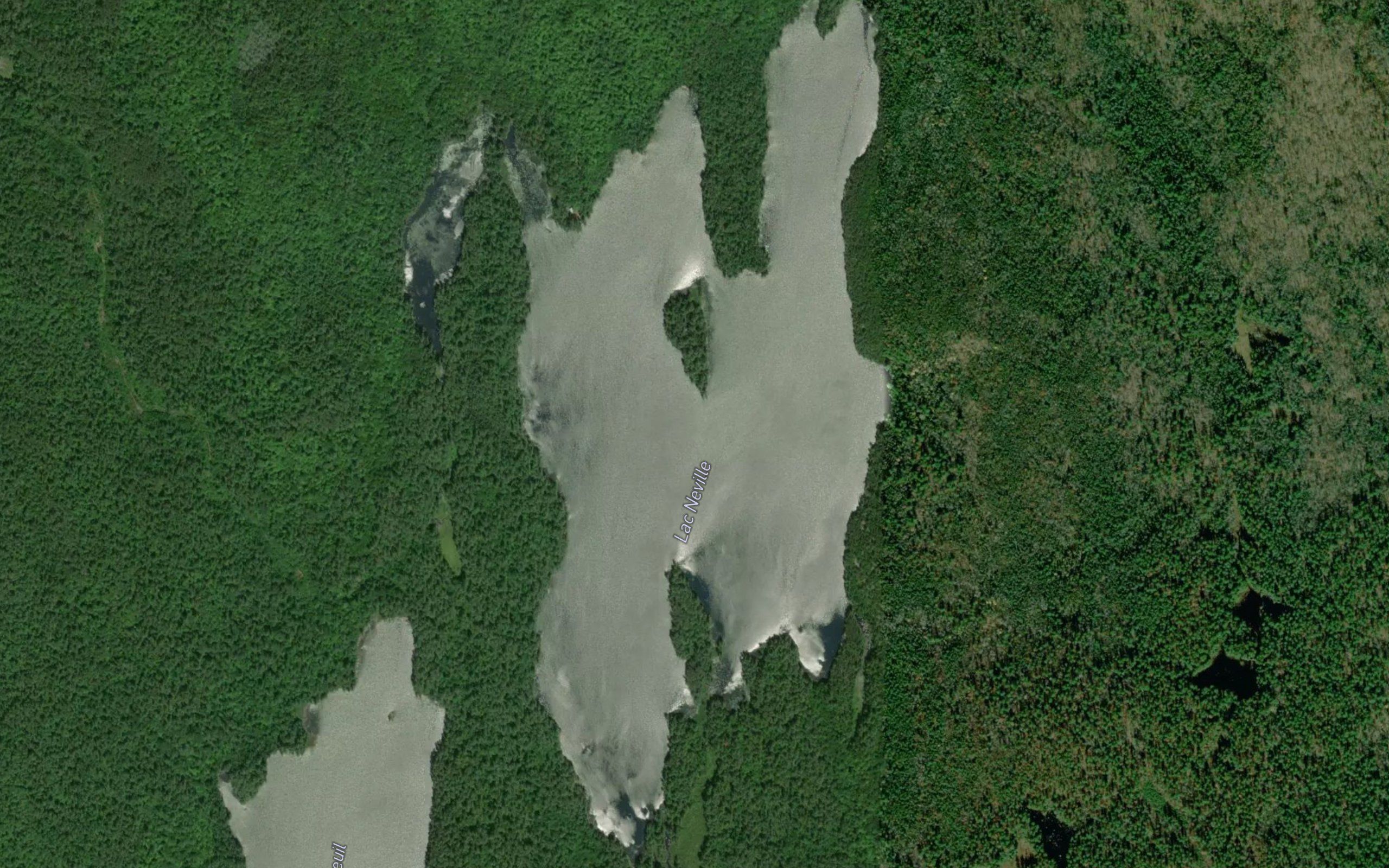 Lac Neville