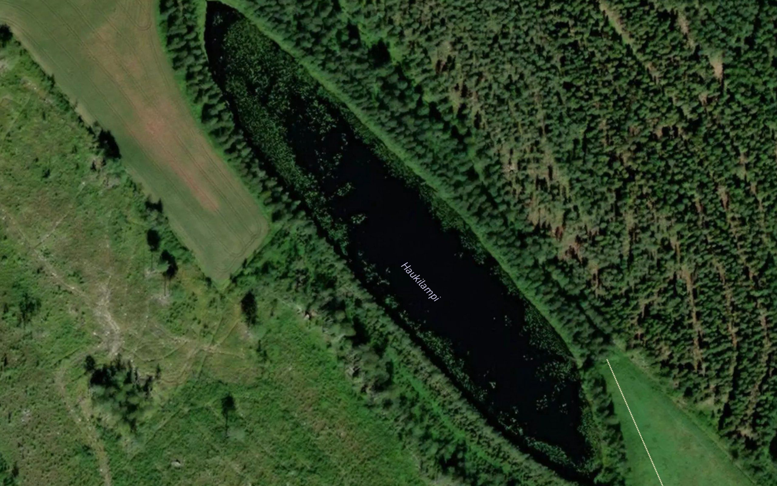 Haukilampi