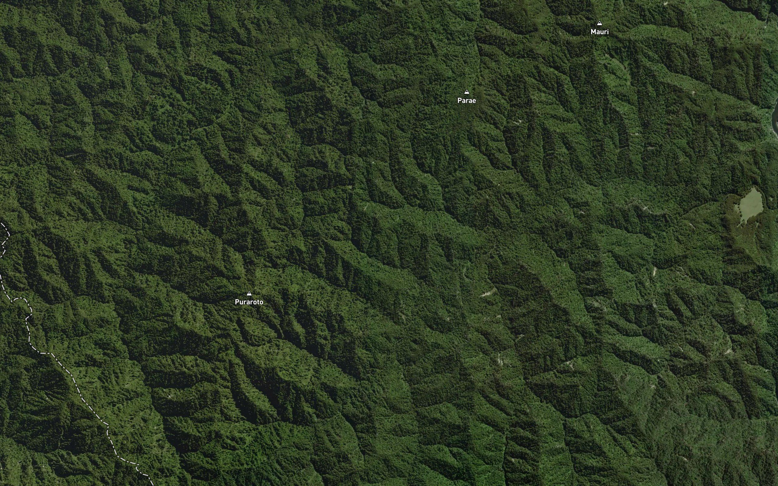 Puraroto Stream