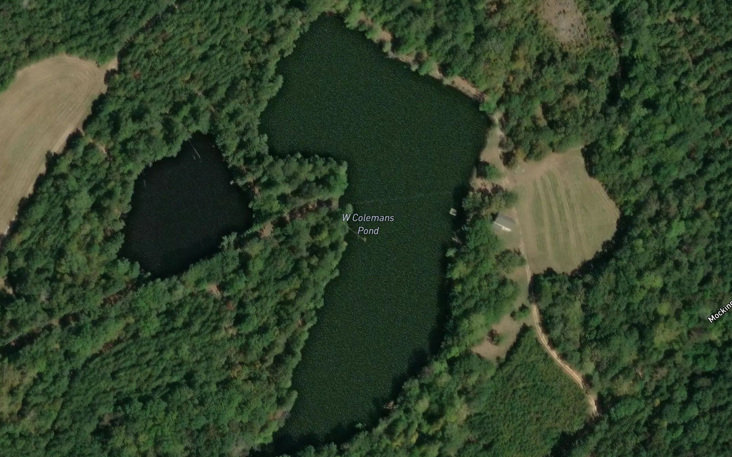 W Colemans Pond