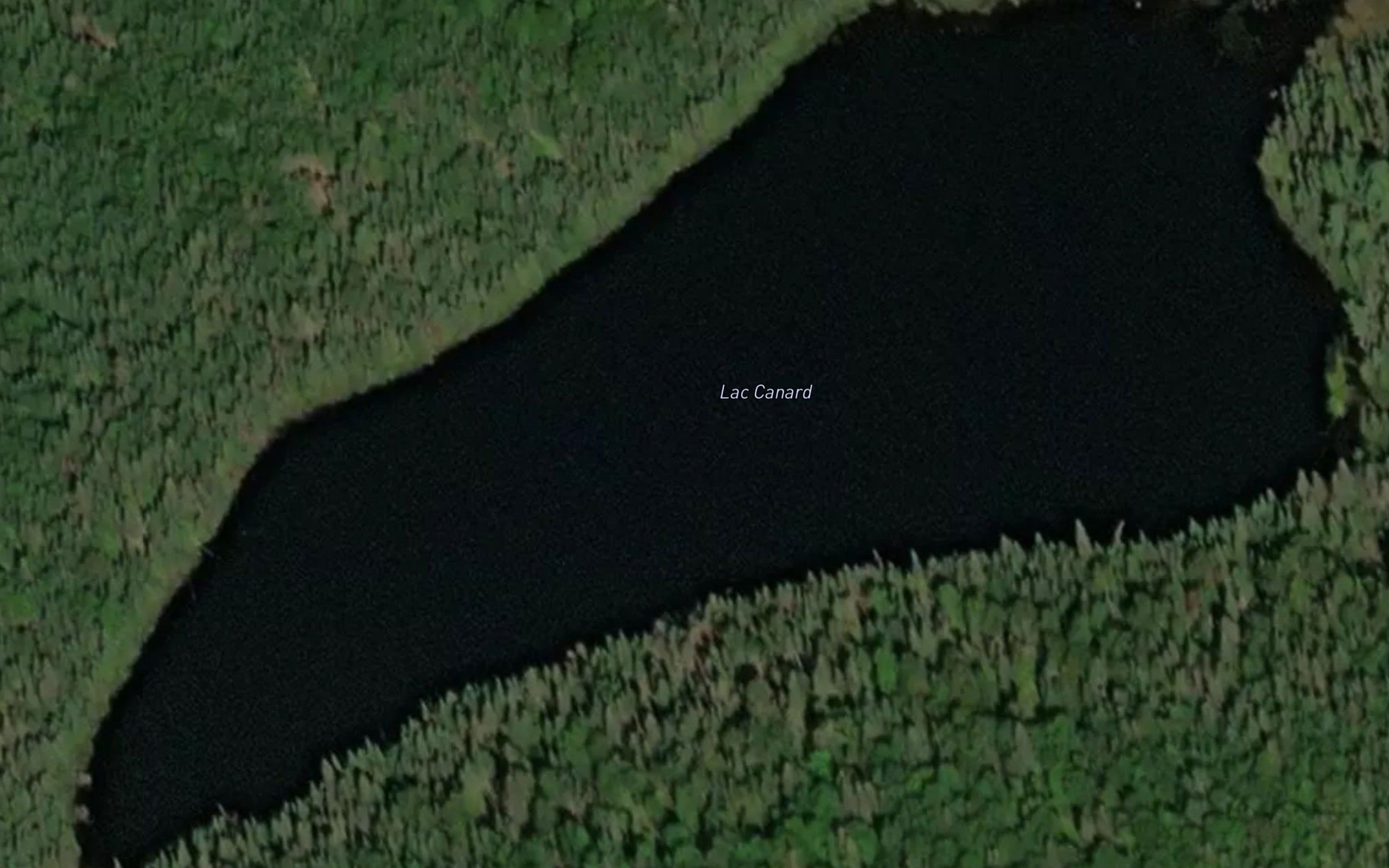 Lac Canard