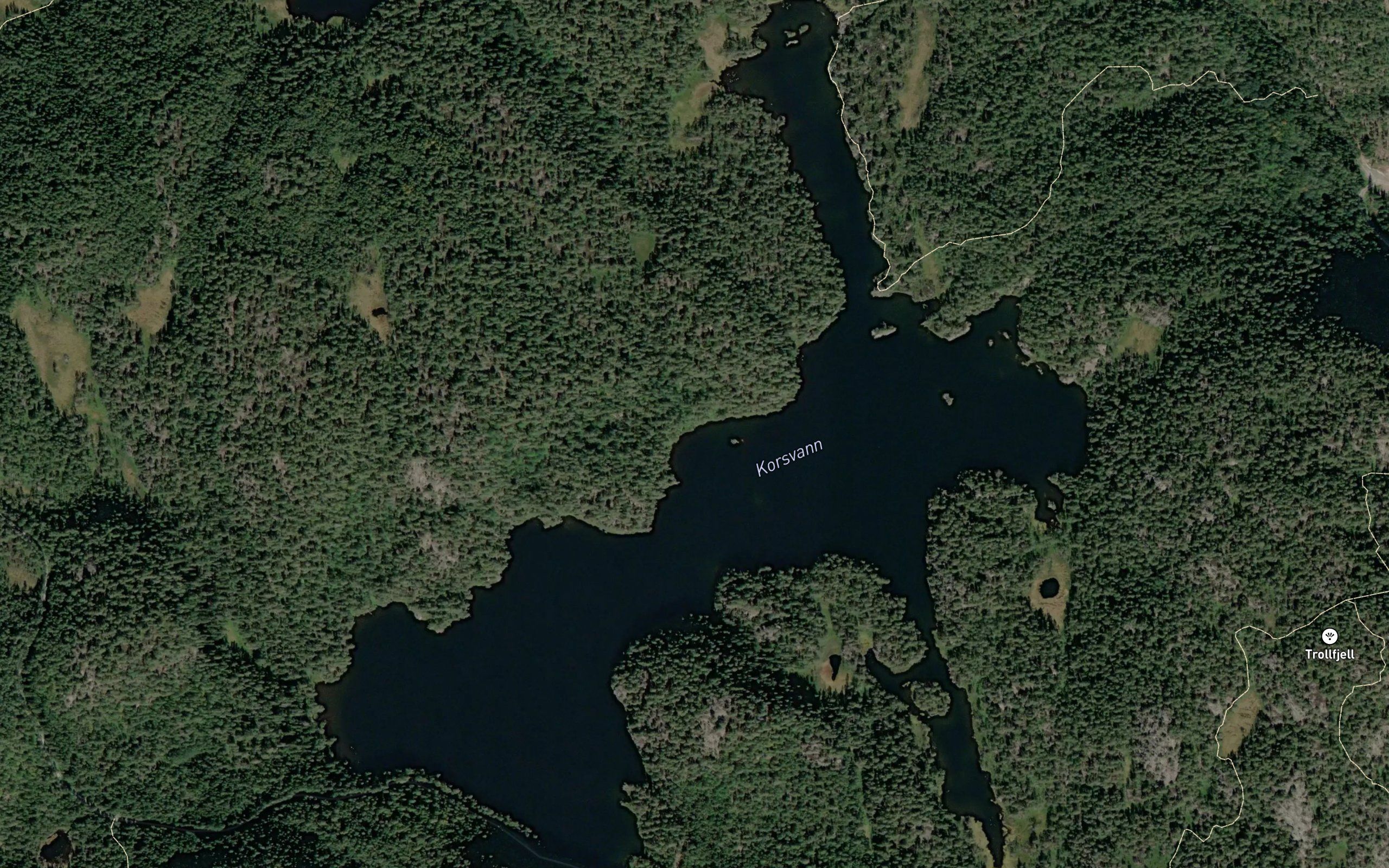 Korsvann
