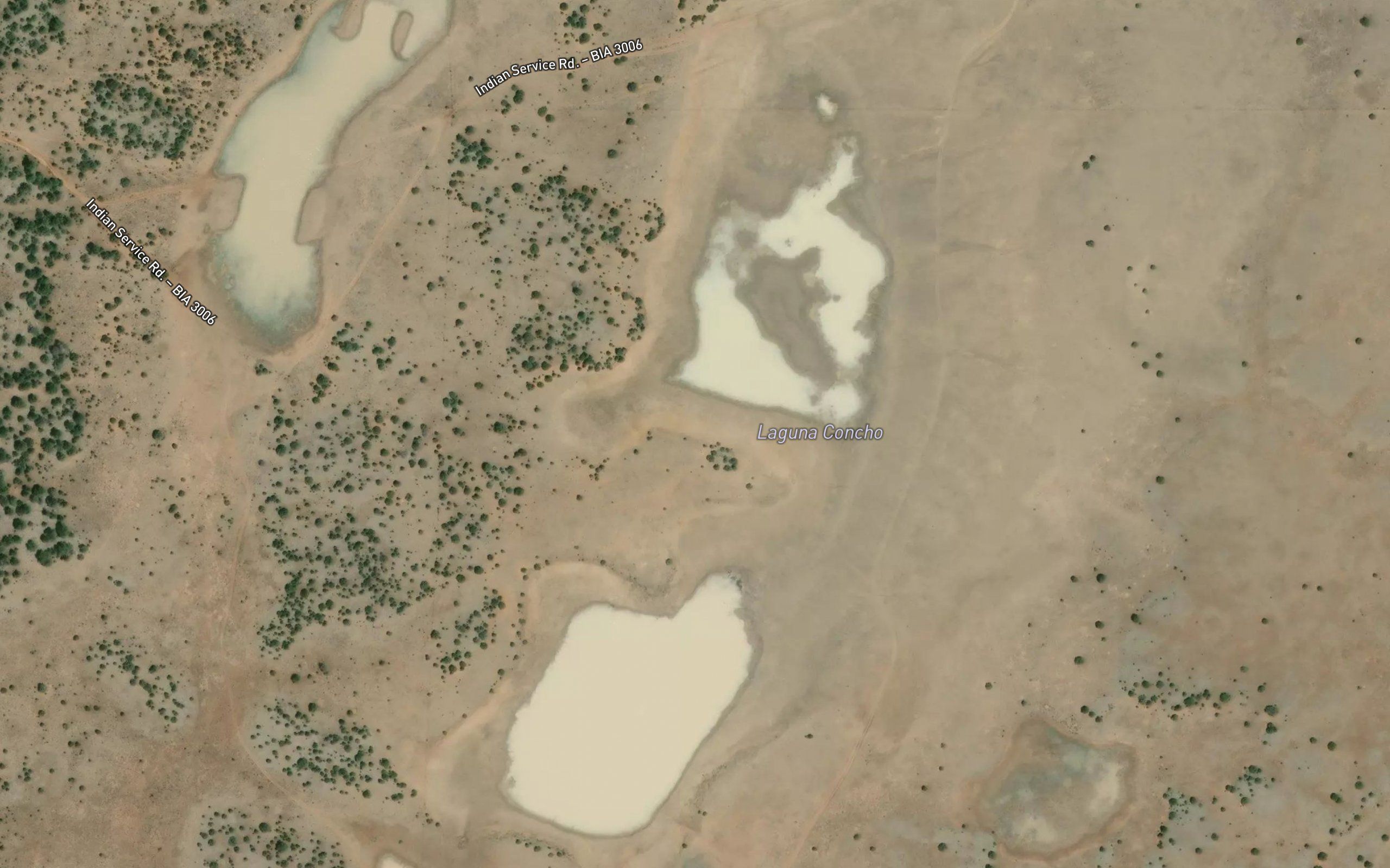 Laguna Concho