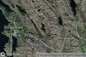 Steindalstjorna