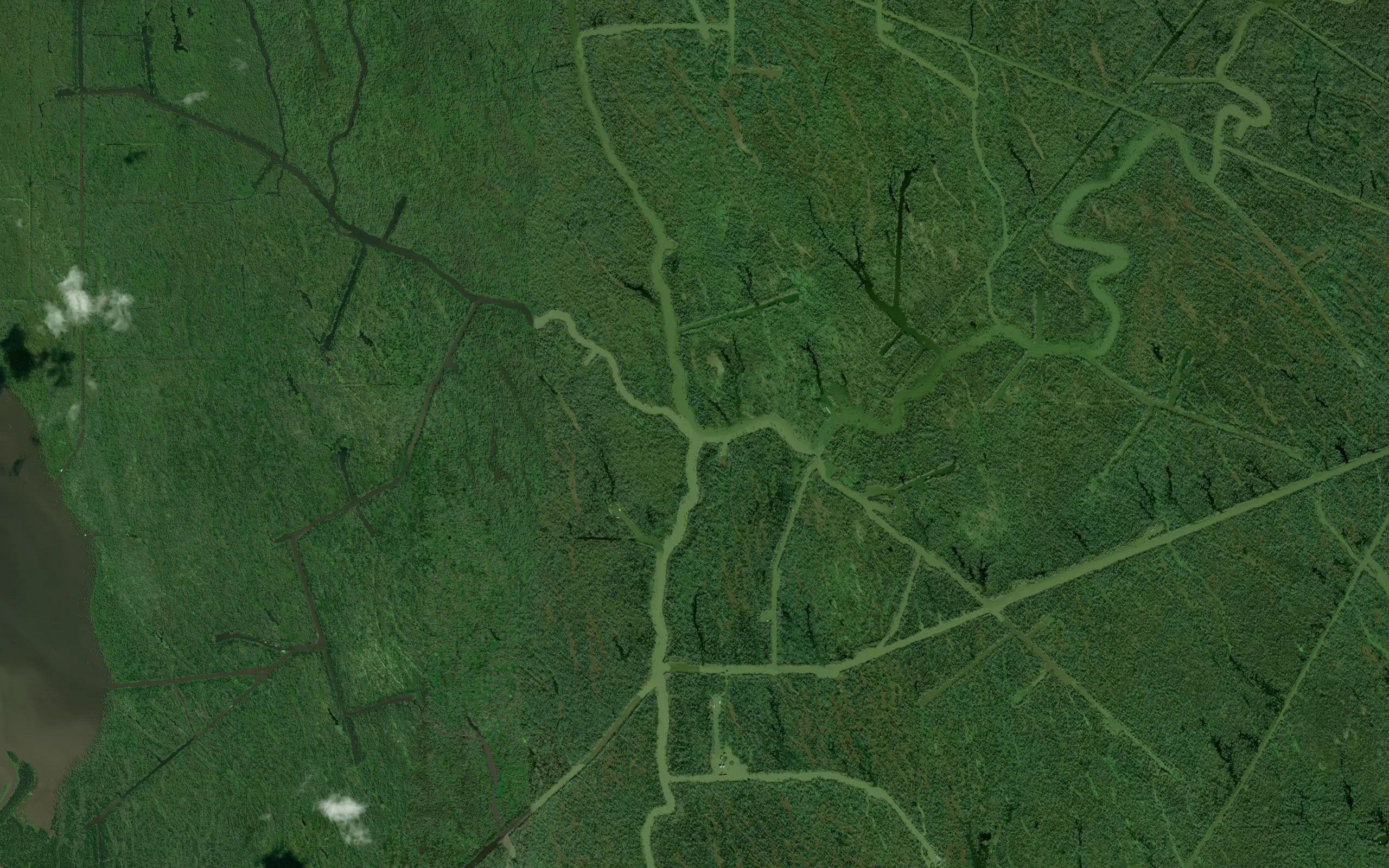 West Fork Bayou Long