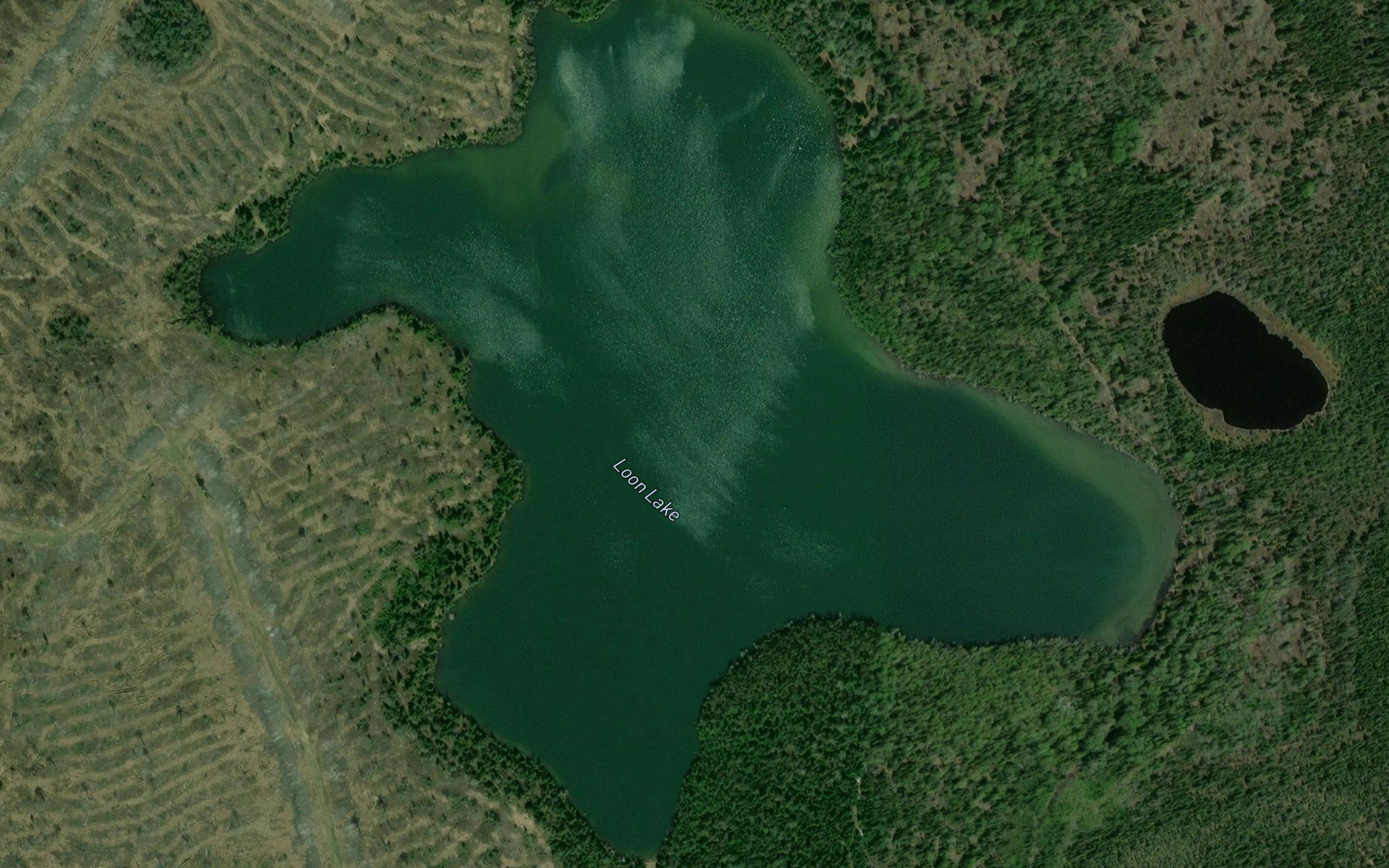 Loon Lake