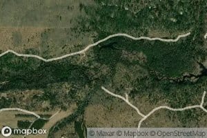 Shinns Branch