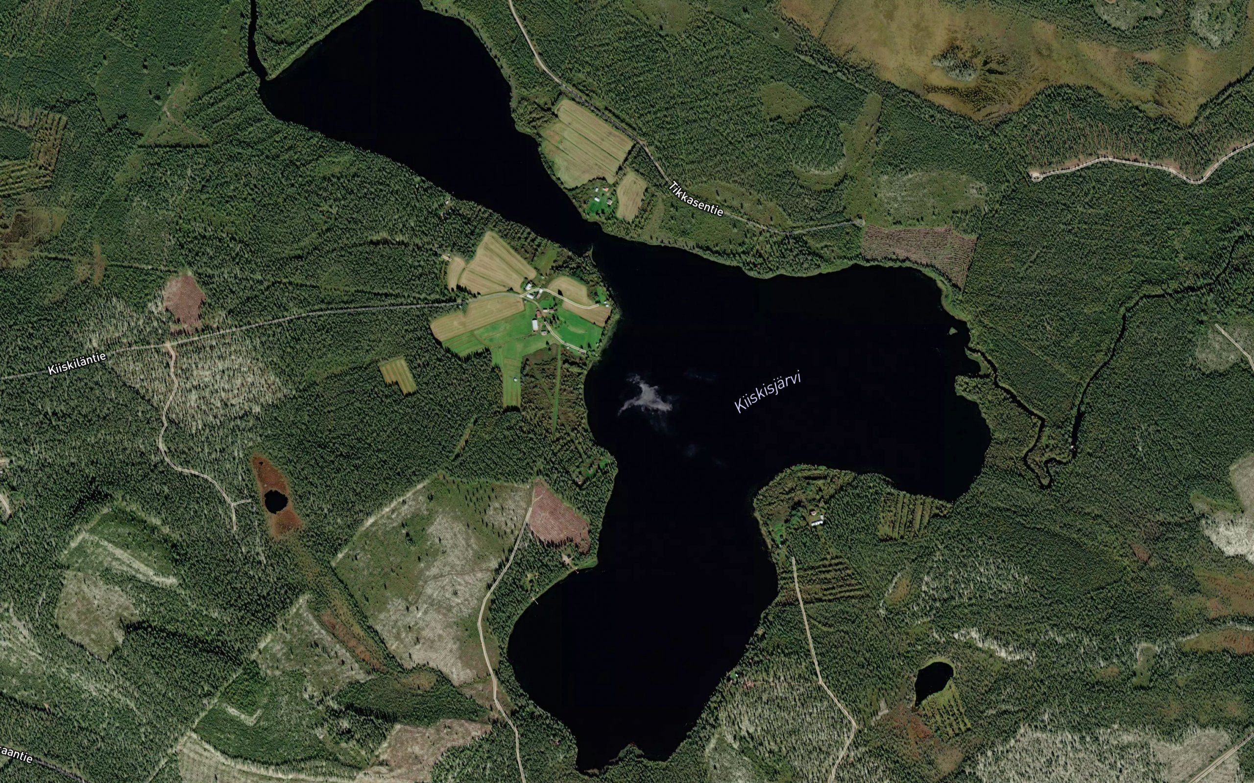 Kiiskijarvi