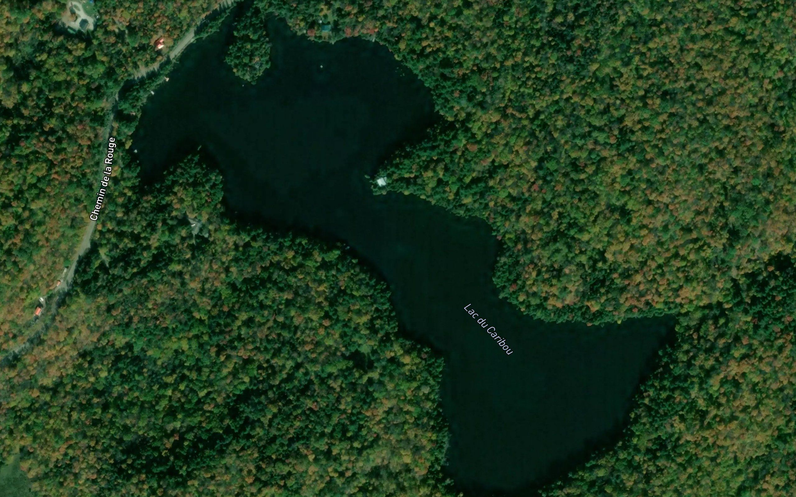 Lac du Caribou