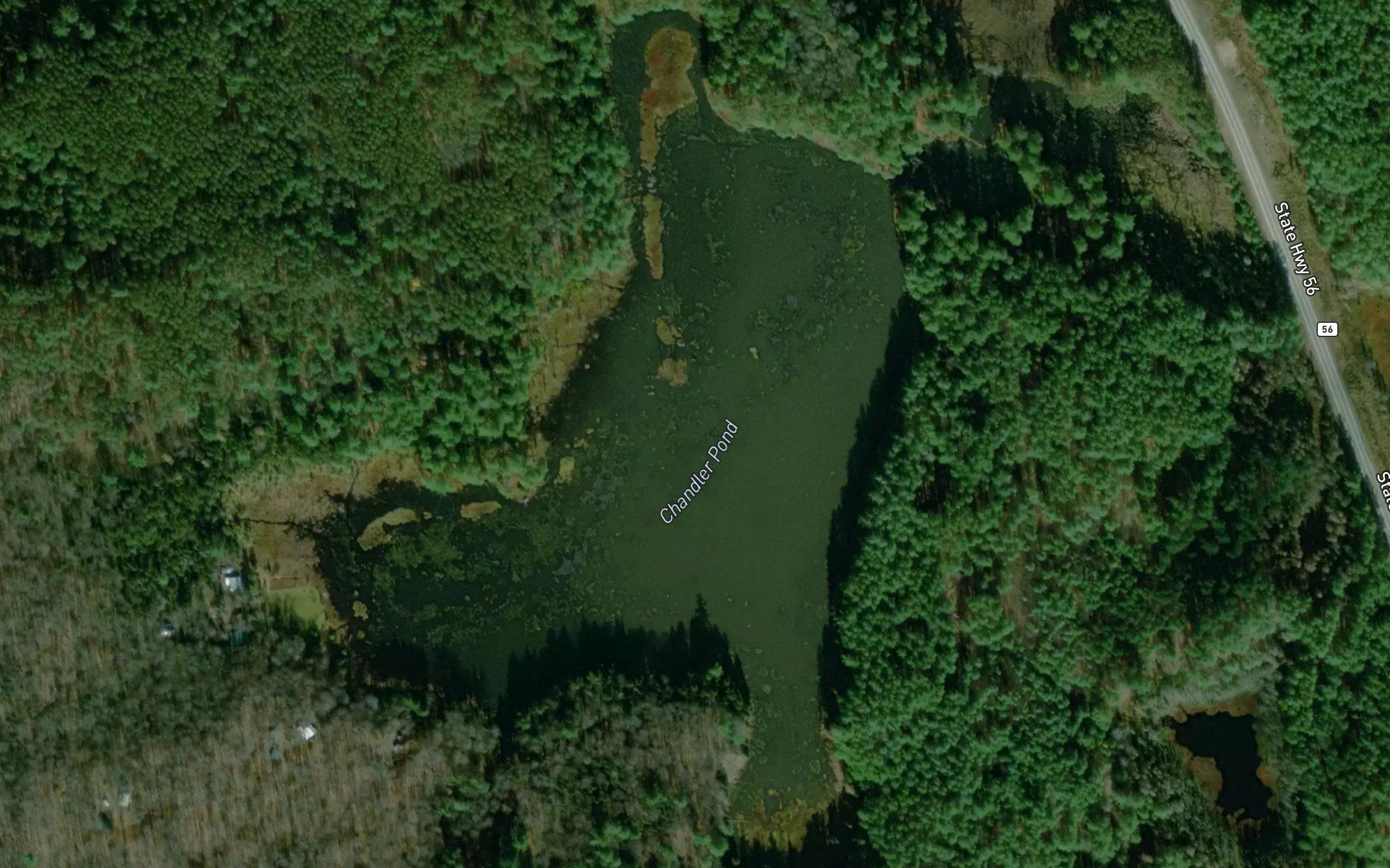 Chandler Pond