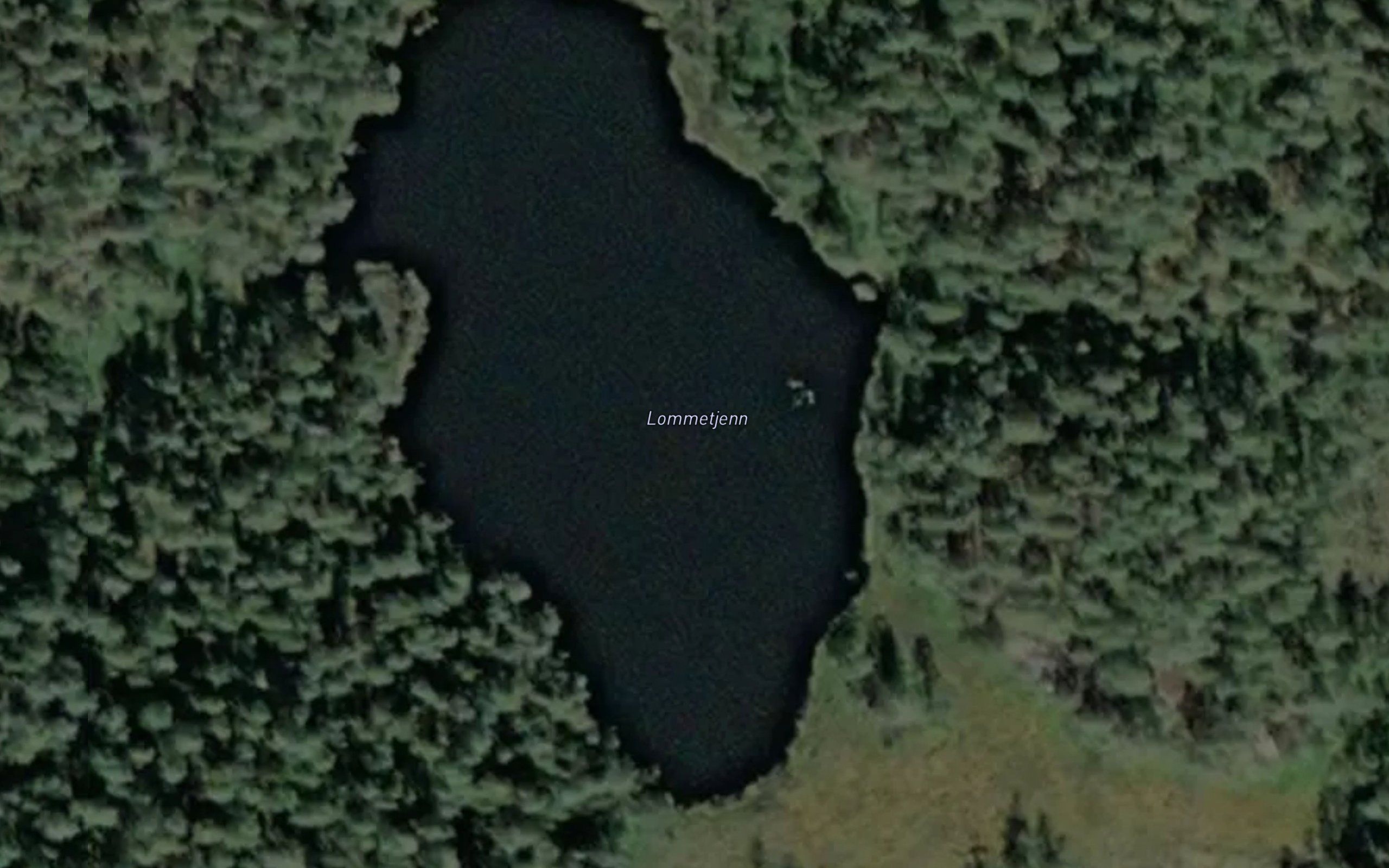 Lommetjenn
