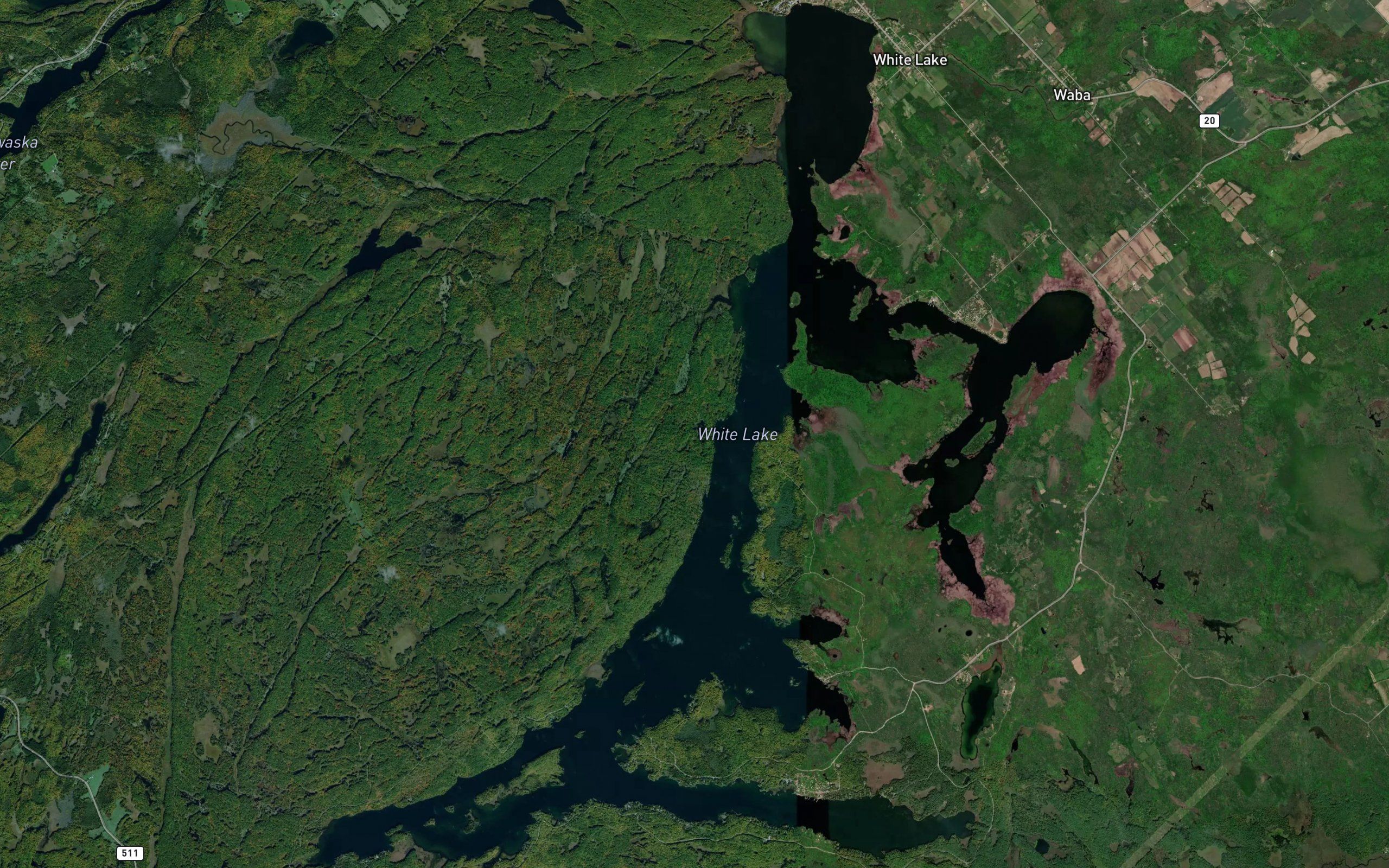 White Lake