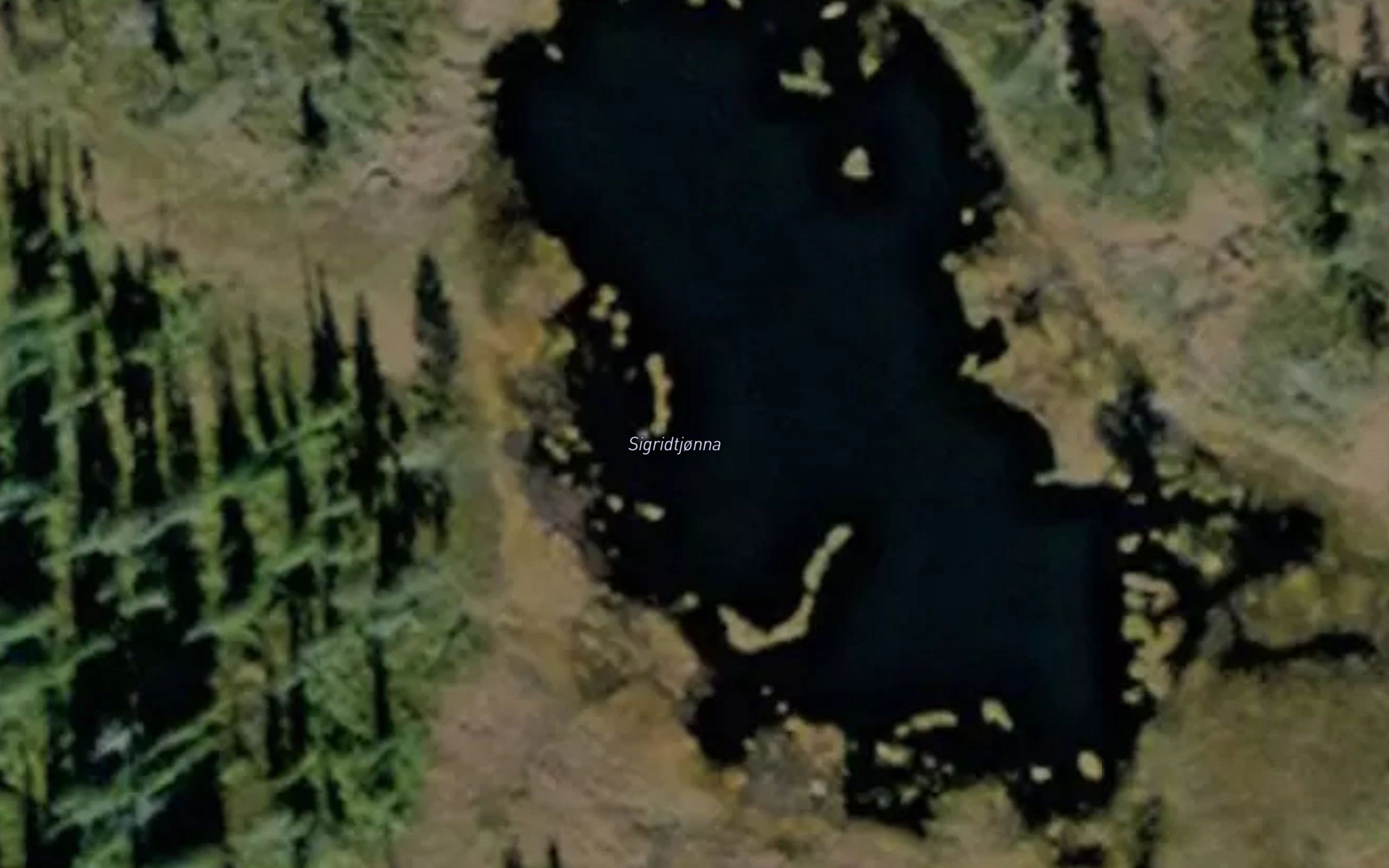 Sigridtjonna