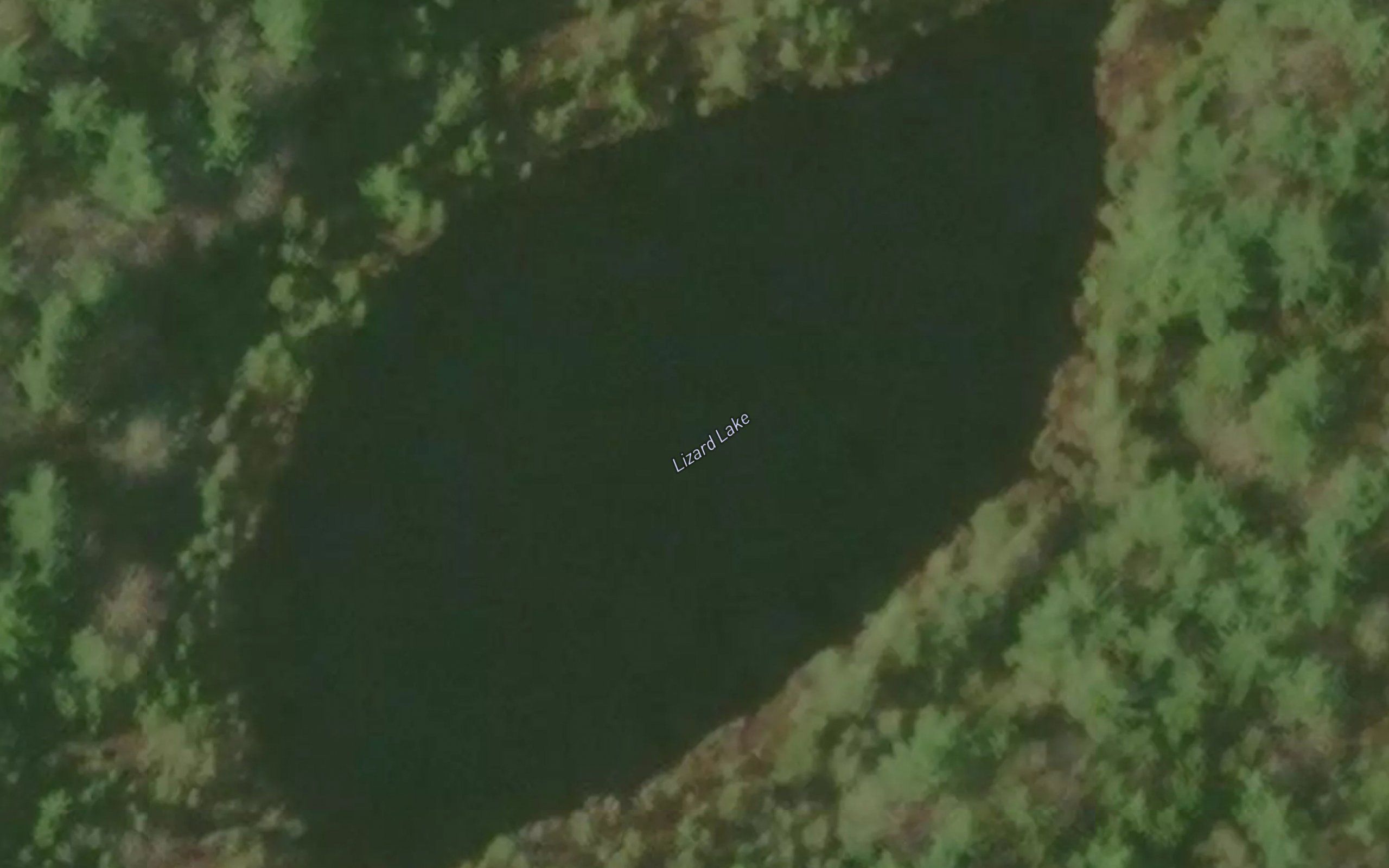 Lizard Lake