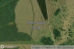Shoe Sugar Pond