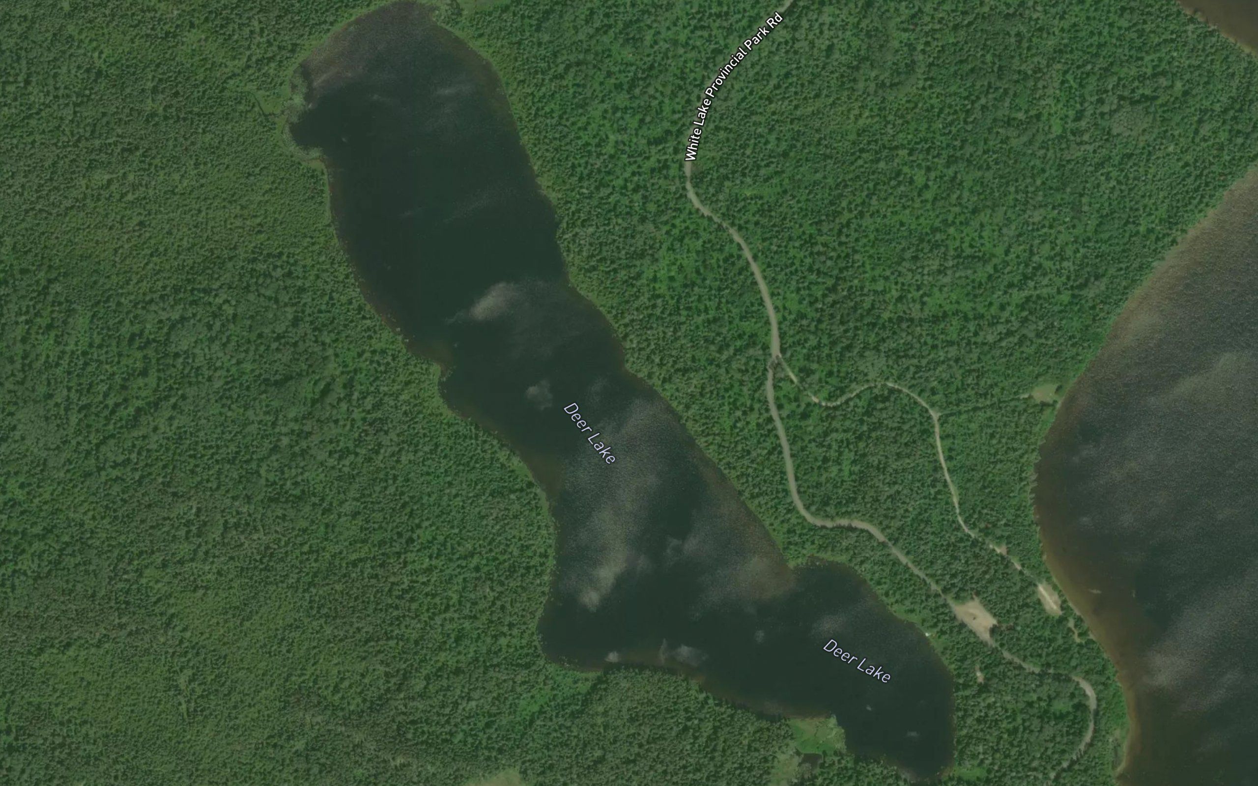 Deer Lake