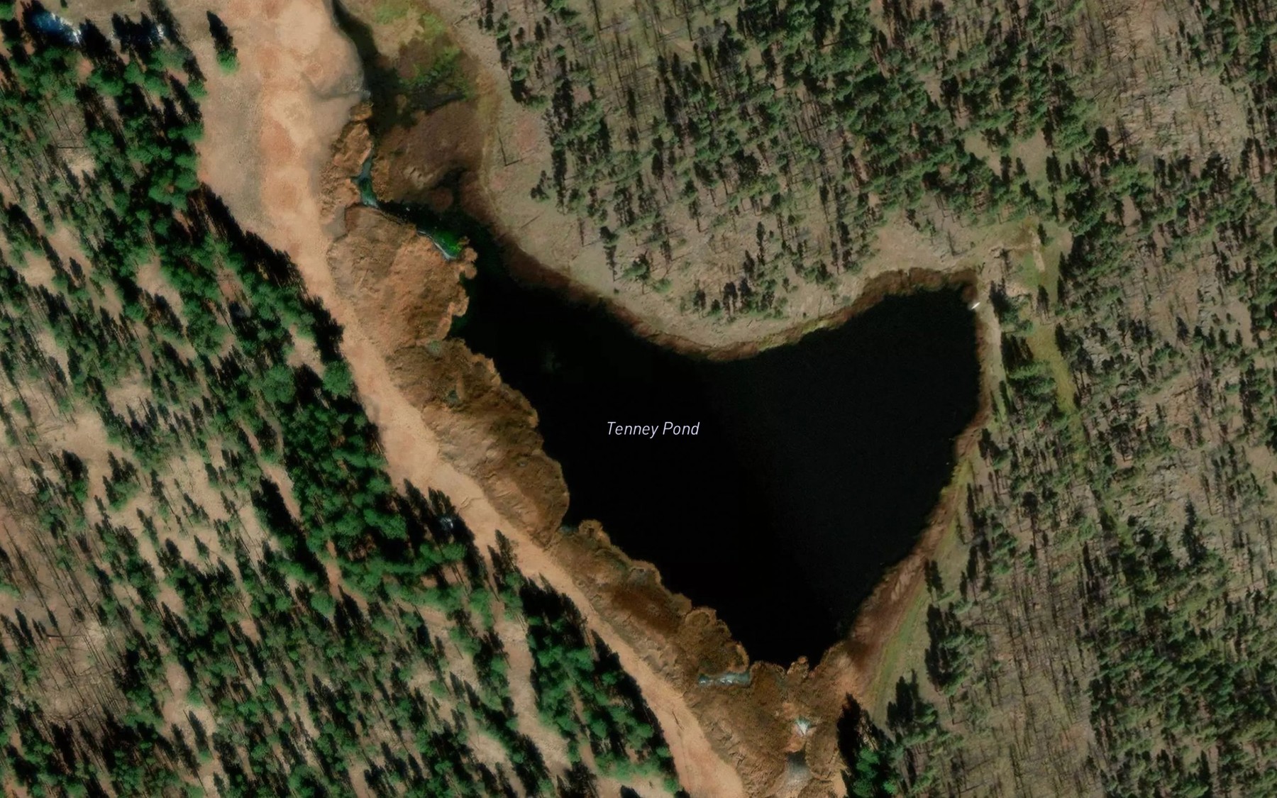 Satellite map of the Tenney Pond