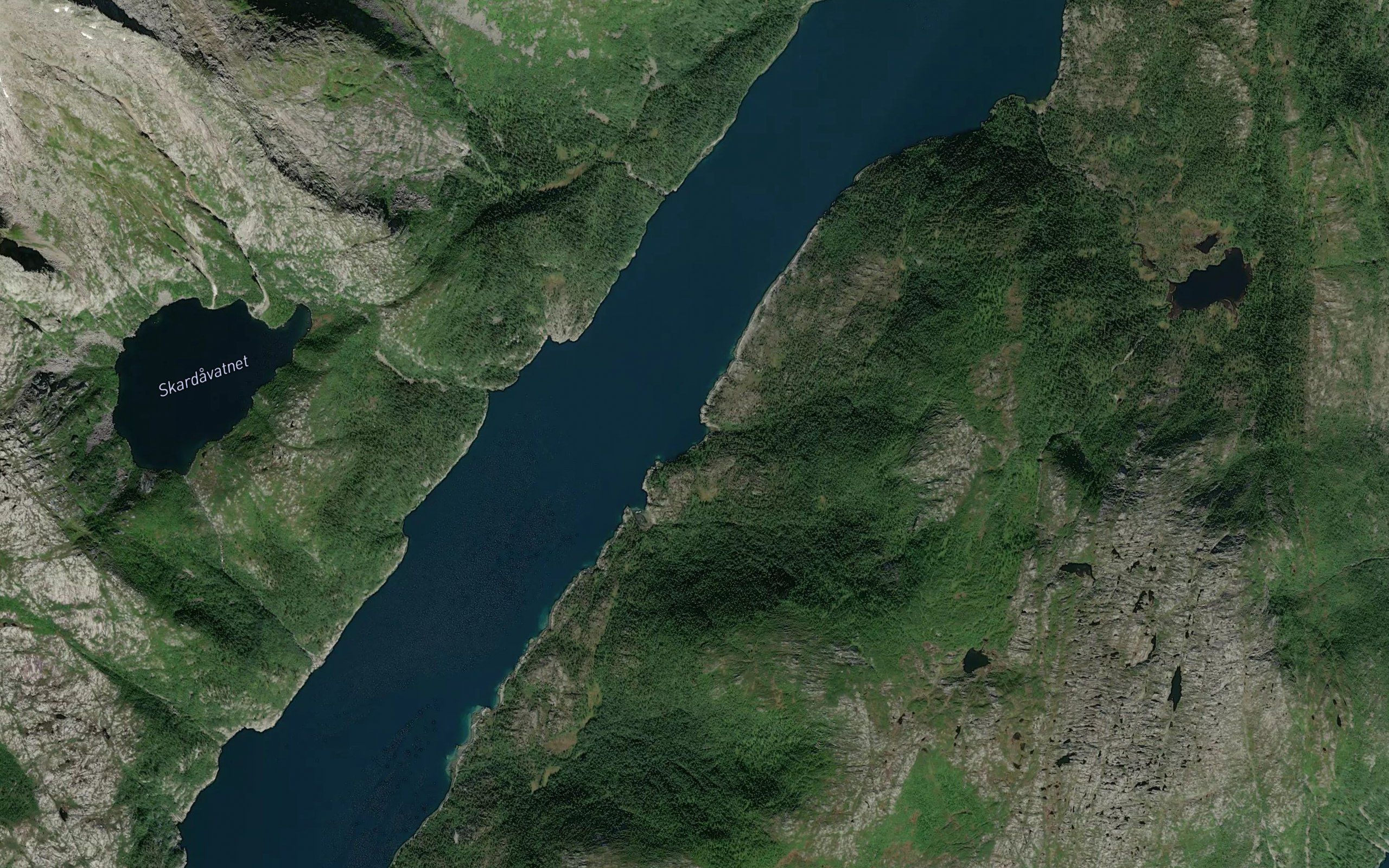 Hoggarvika