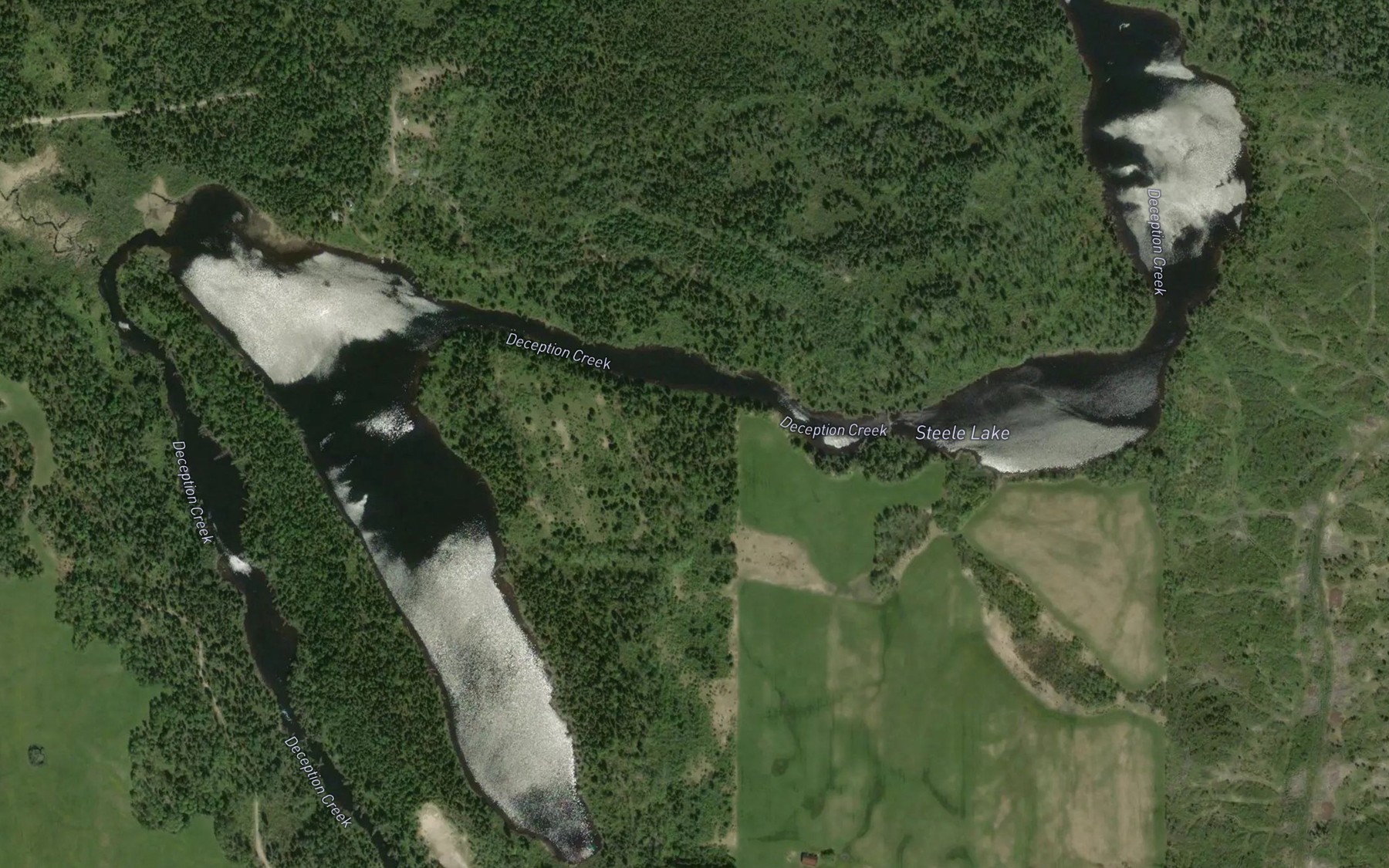 Satellite map of the Steele Lake