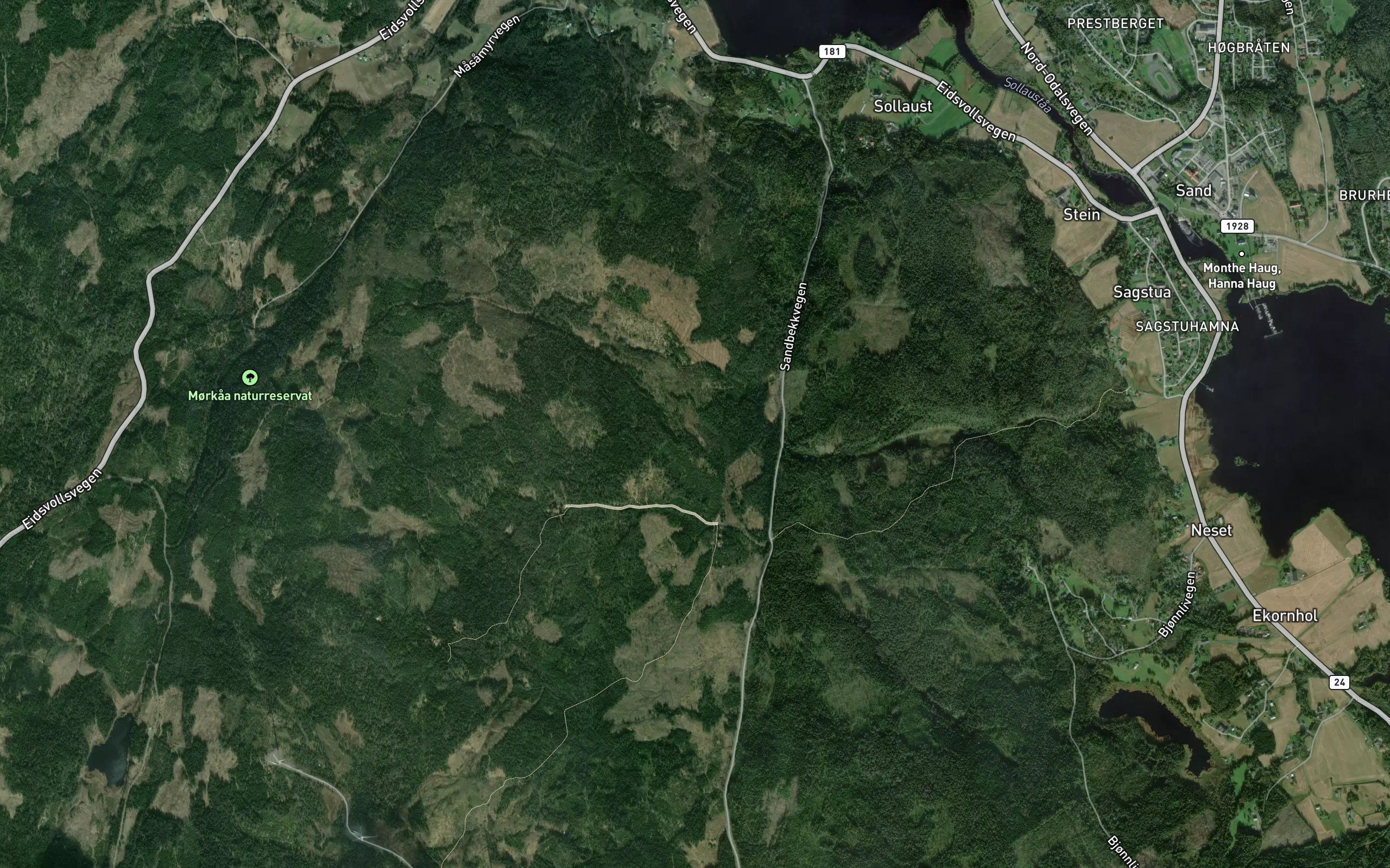 Sollaustjennet