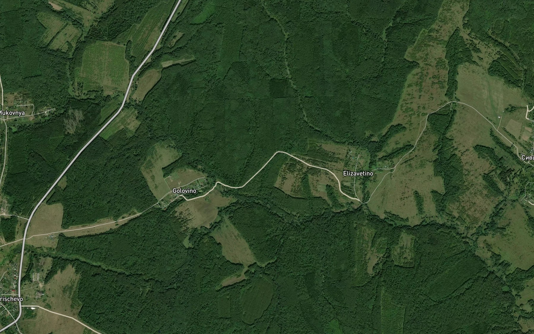 Satellite map of the Liza