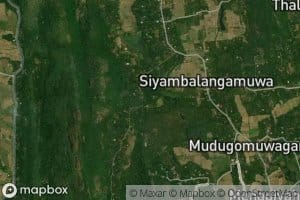 Siyambalangamuwa Wewa