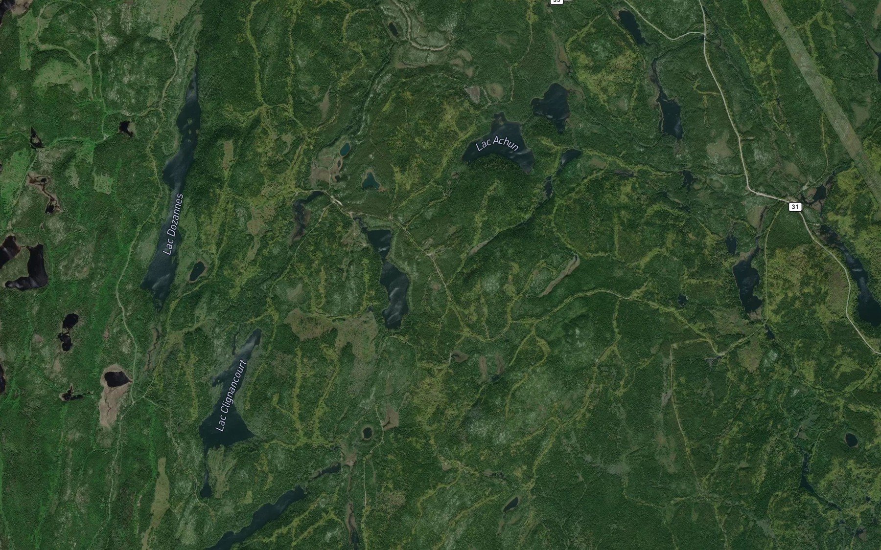 Satellite map of the Lac Feron
