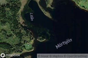 Mortsjon