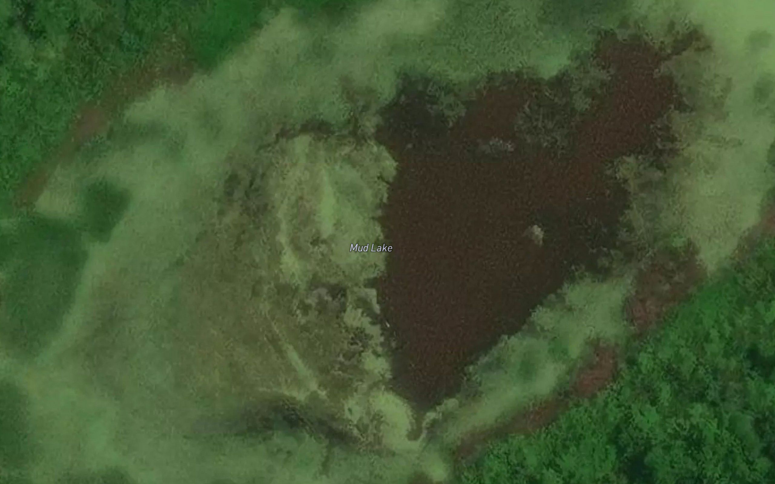 Mud Lake